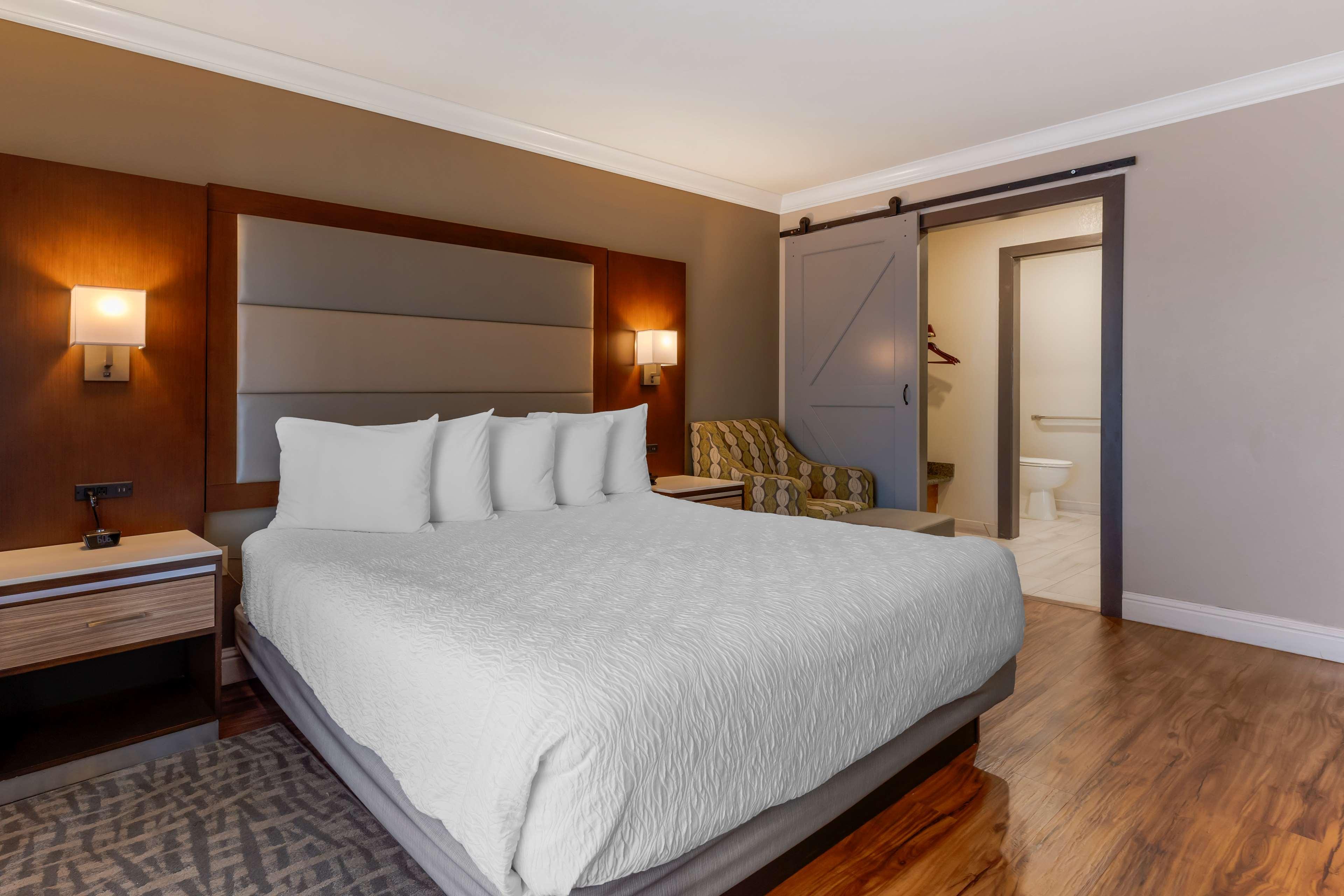 Double King Bed Non Smoking