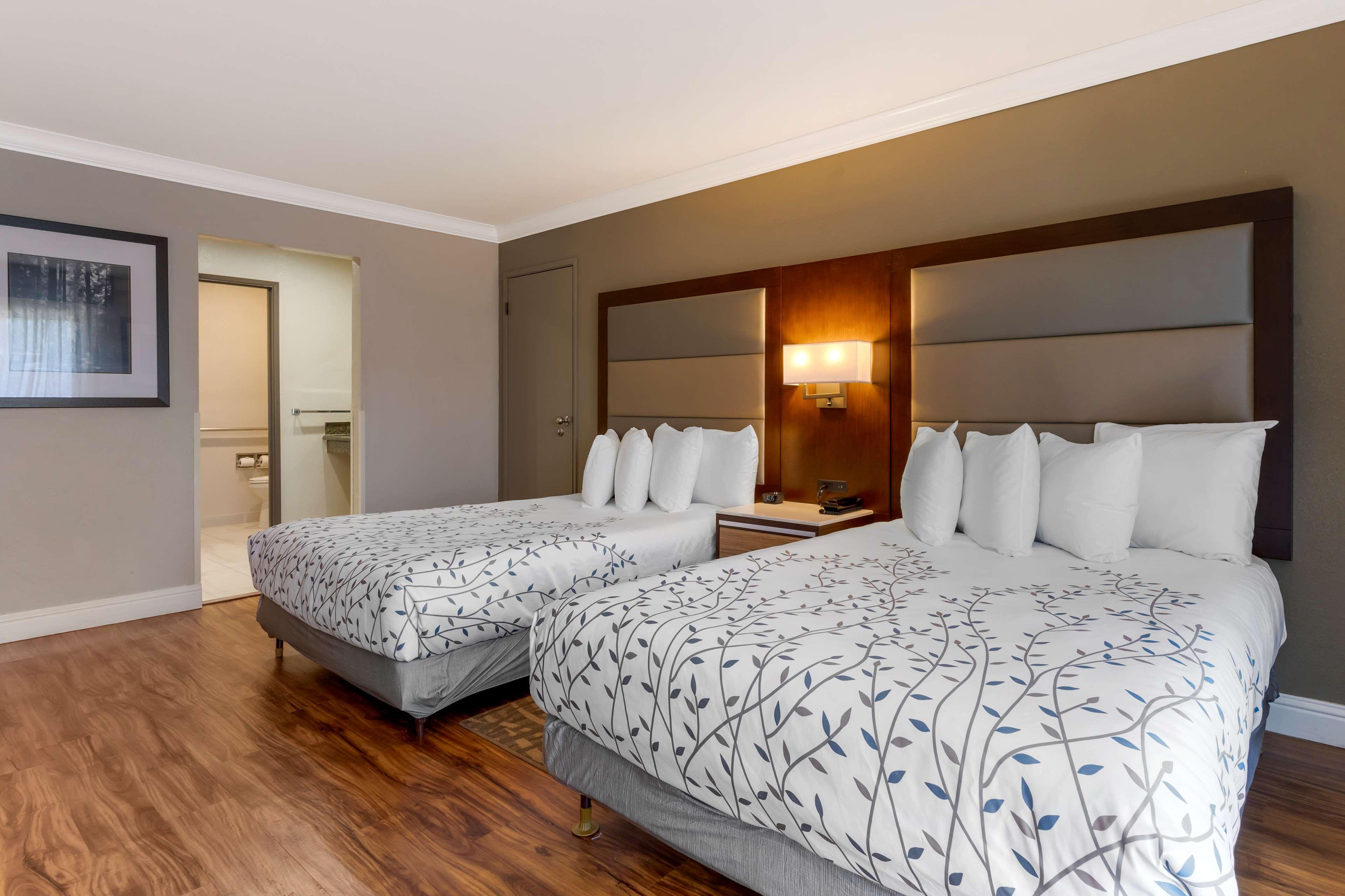 Room Two Double Beds Non Smoking