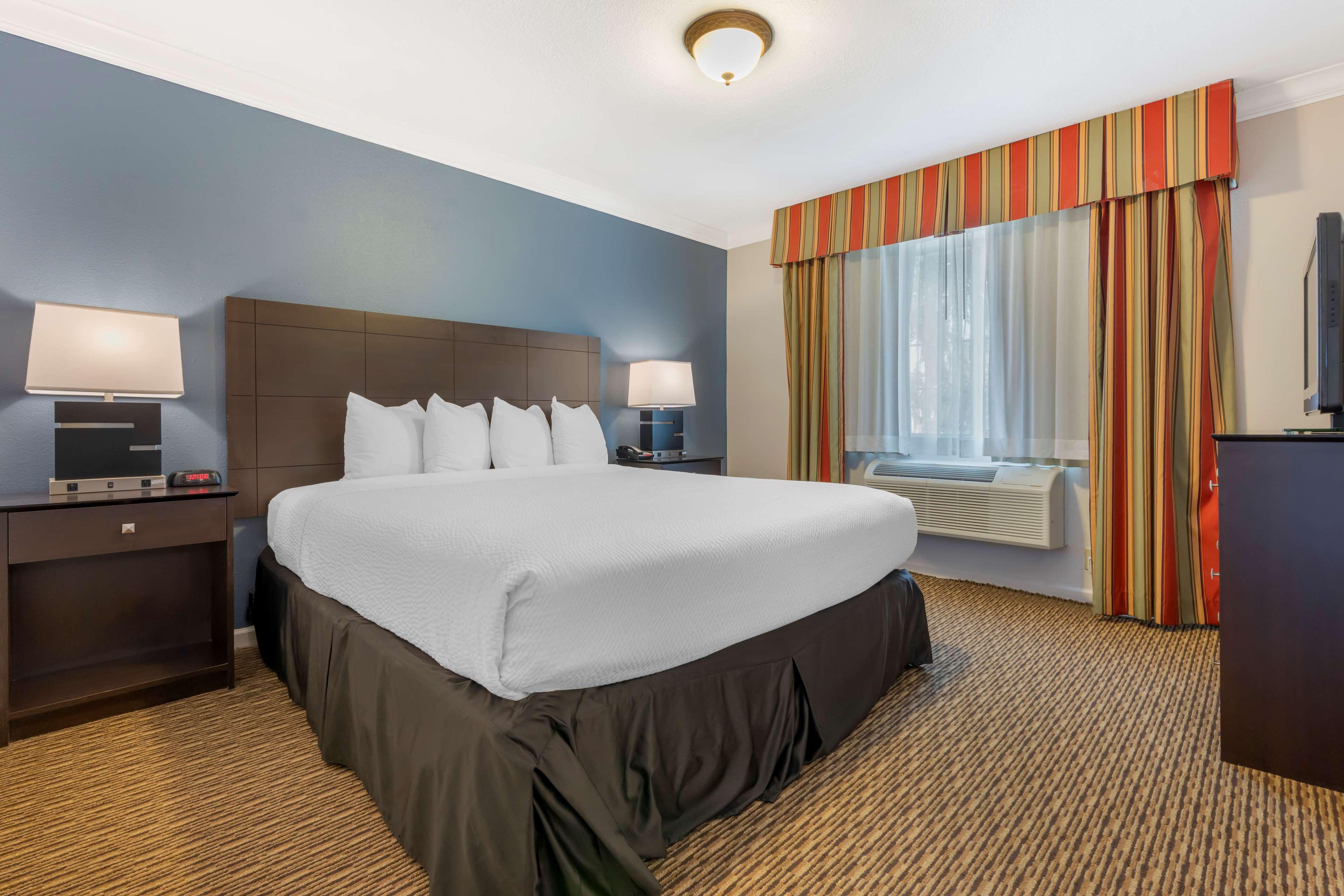 Suite King Bed Non Smoking