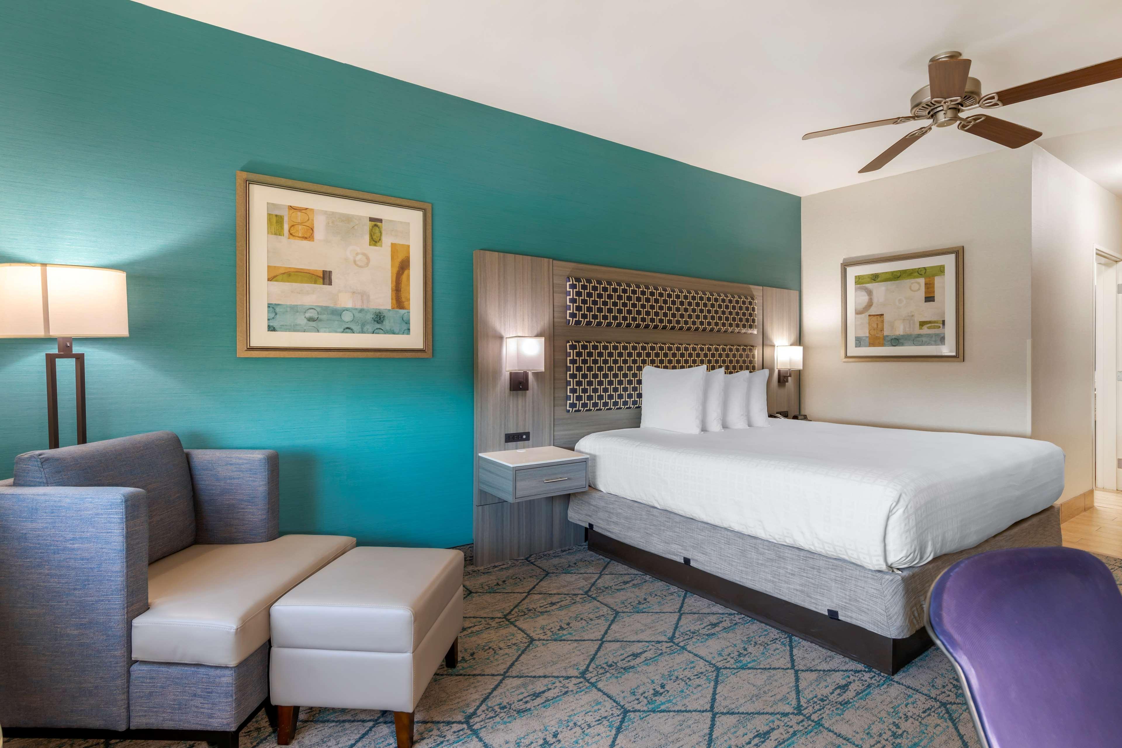 Double King Bed Non Smoking