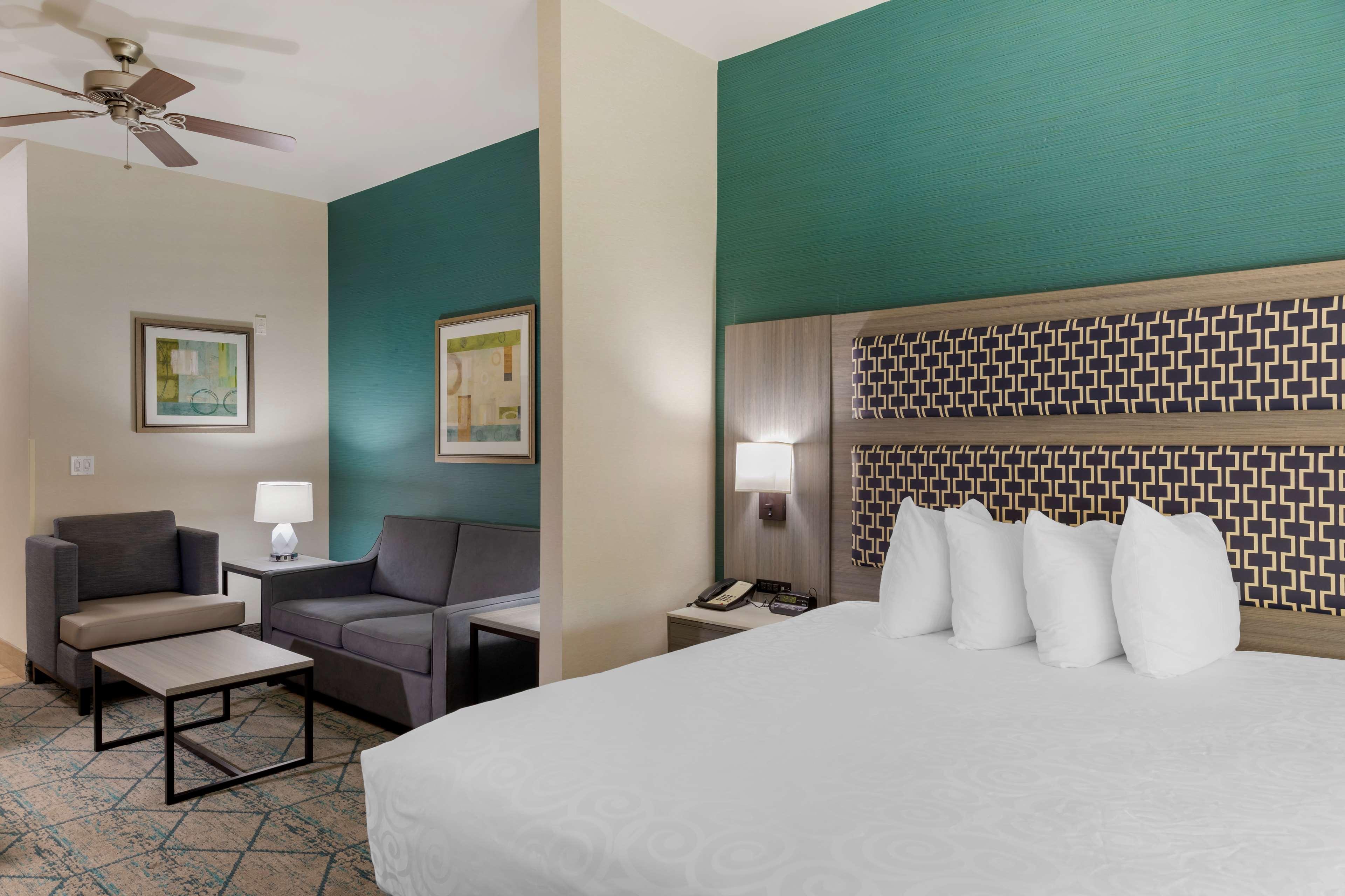 Suite King Bed Non Smoking