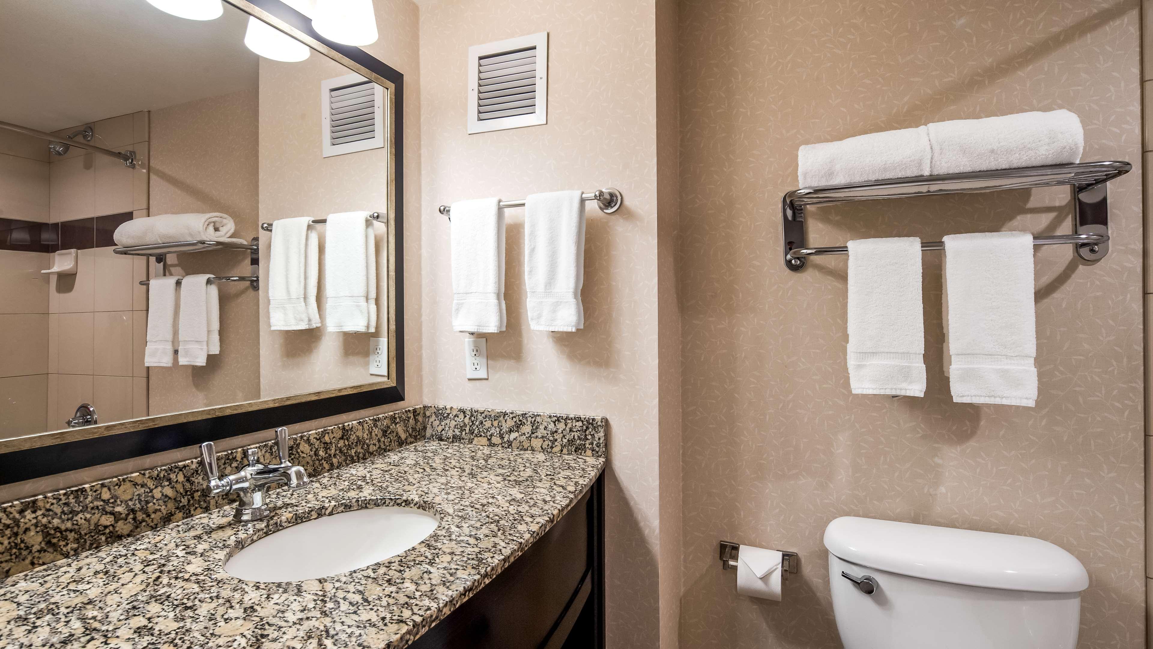 Suite King Bed Non Smoking