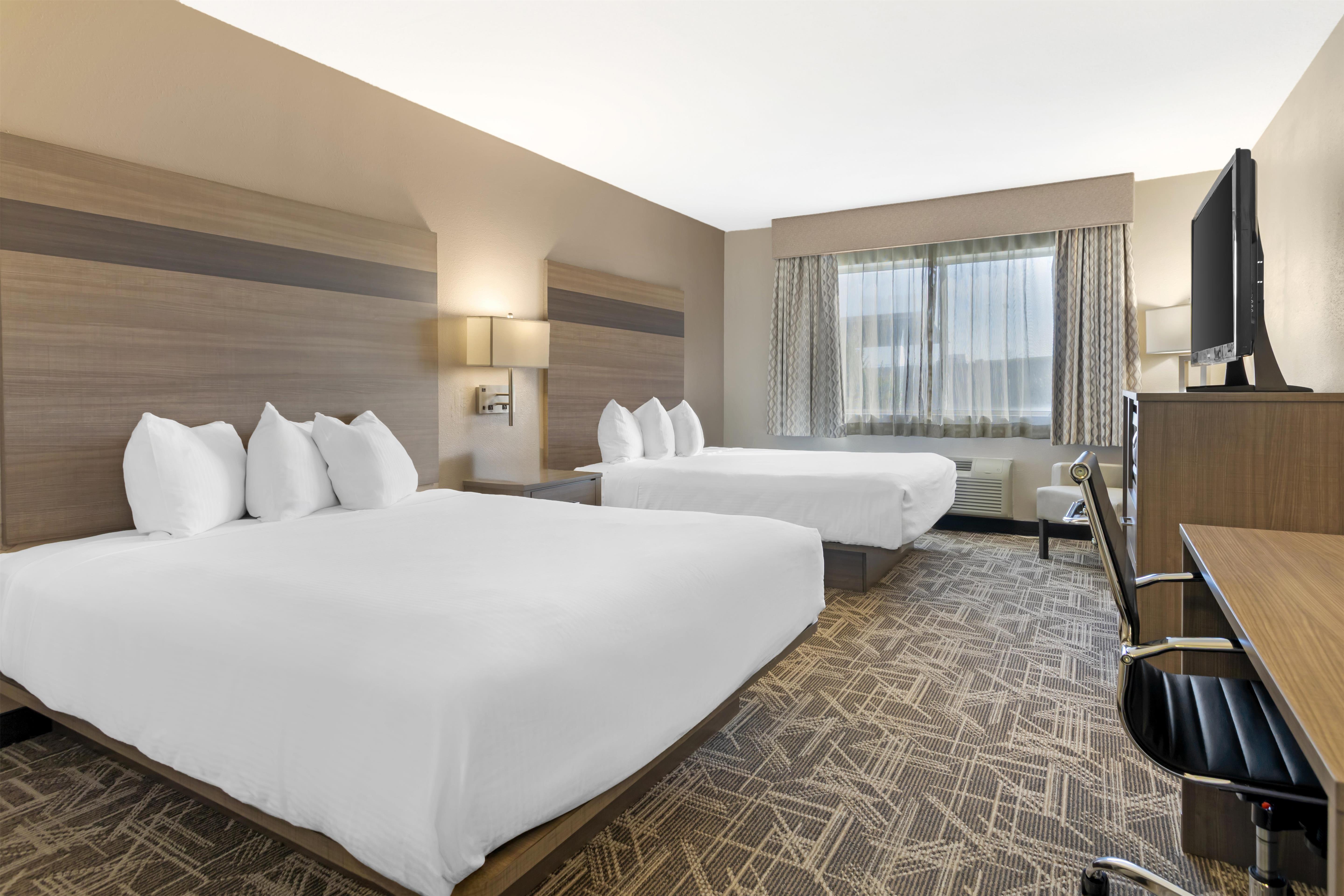 Double Two Queen Beds