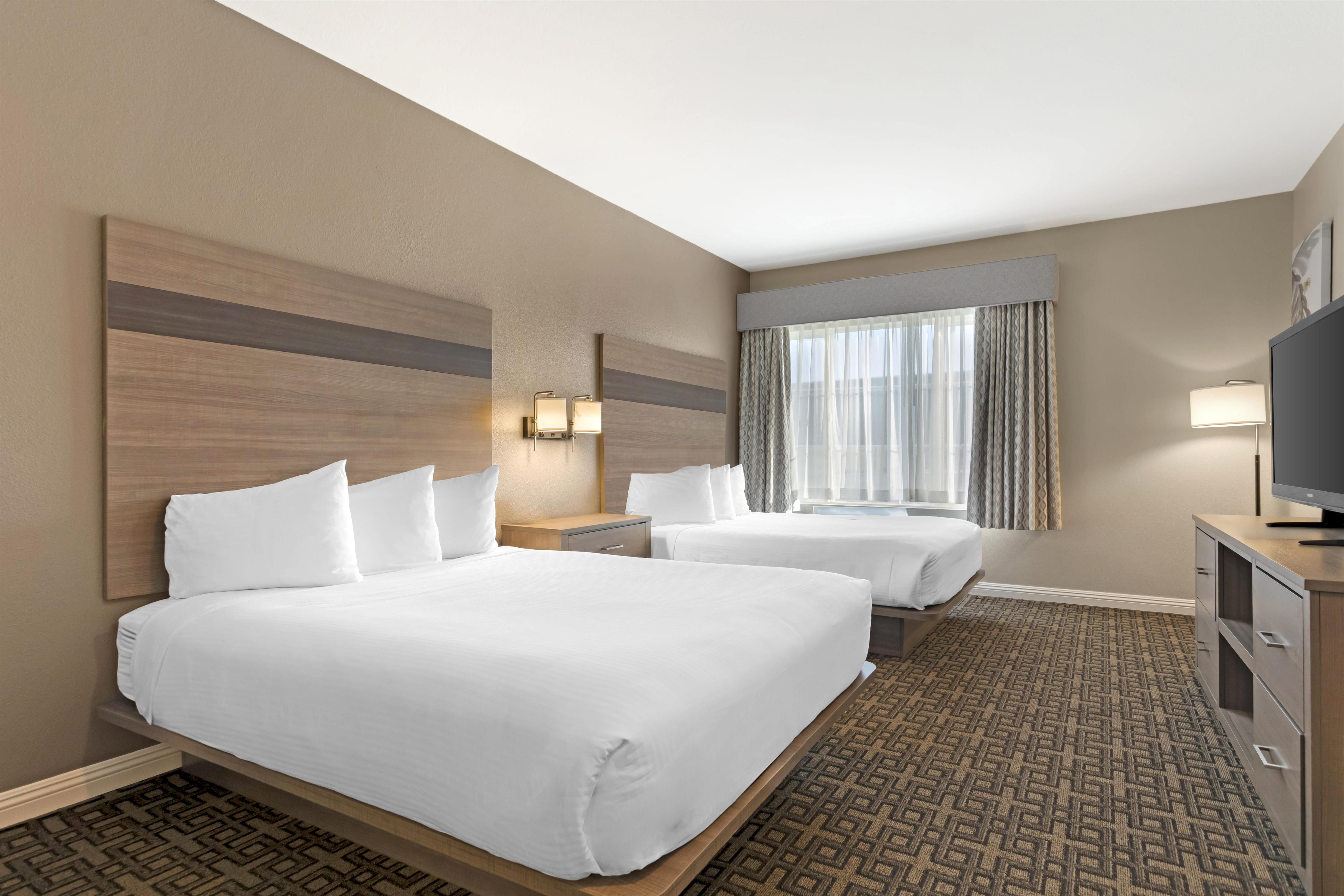 Suite Two Queen Beds