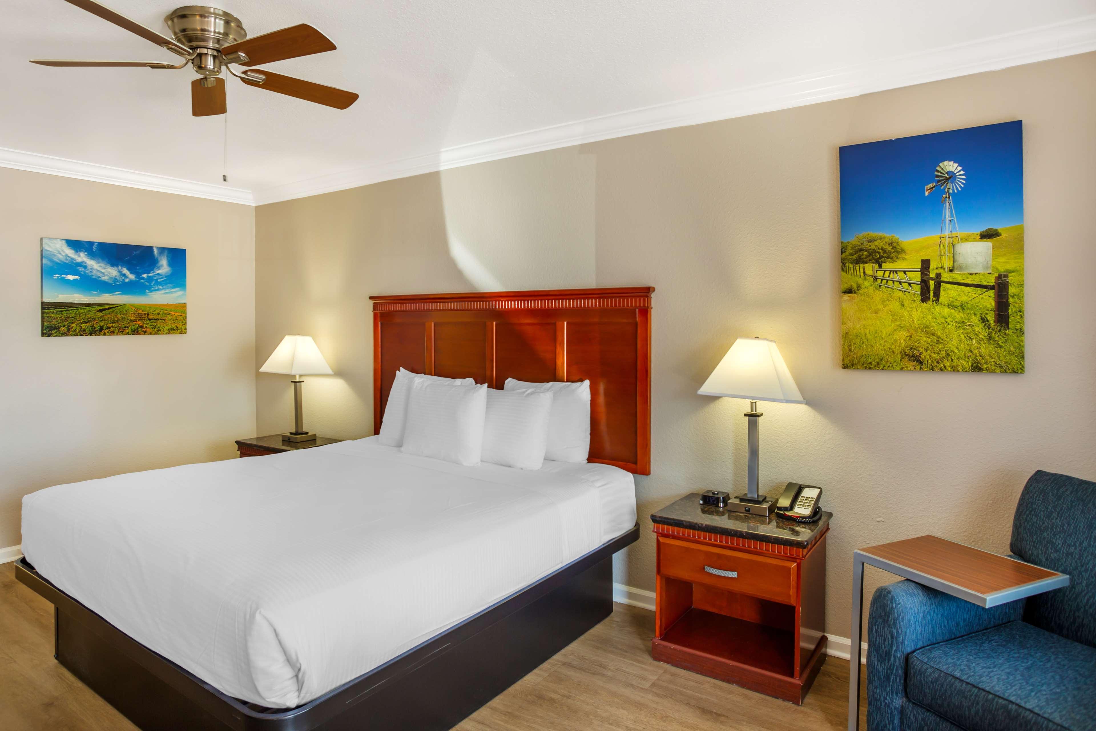 Room King Bed Non Smoking