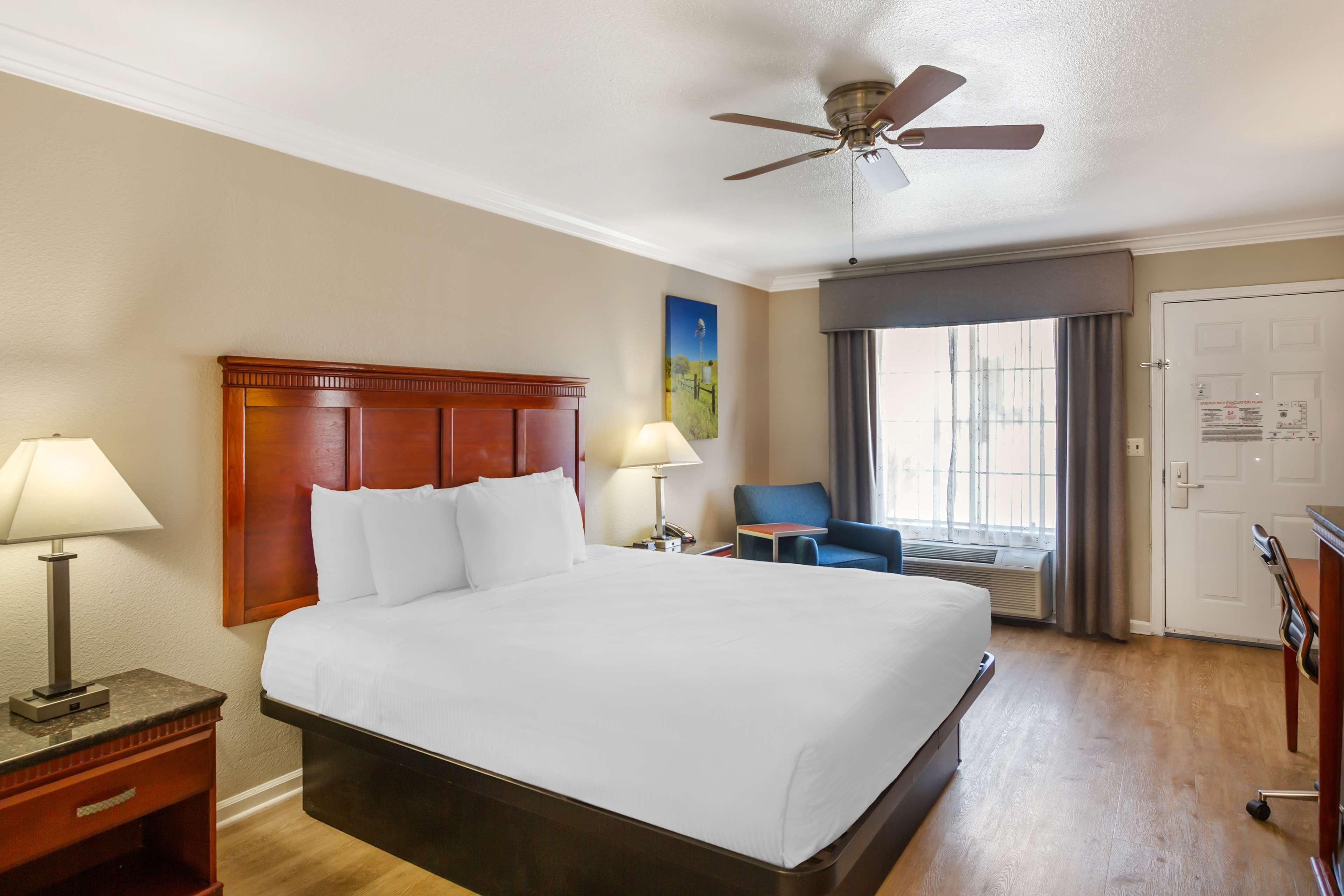 Room King Bed Non Smoking