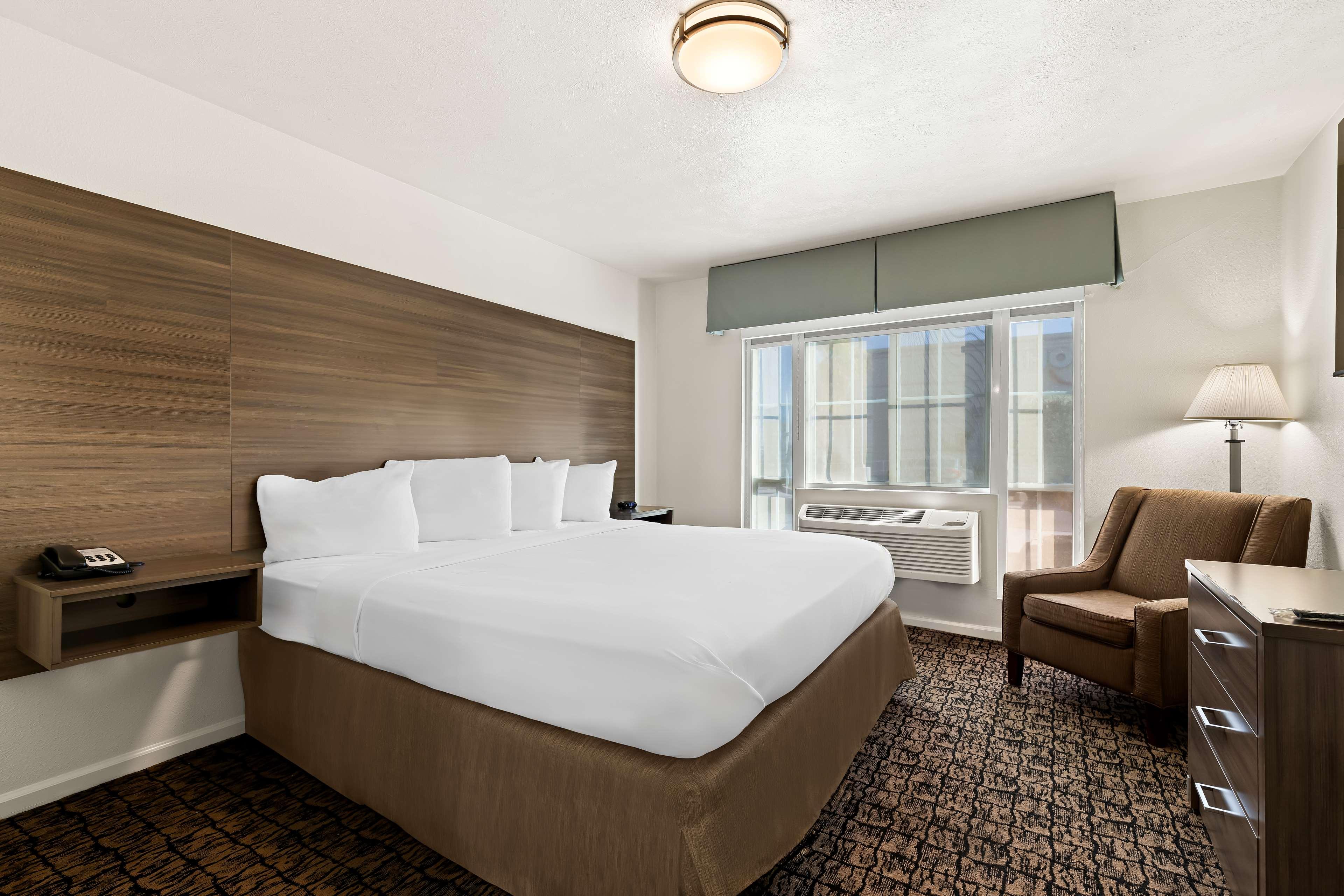 Suite King Bed Non Smoking