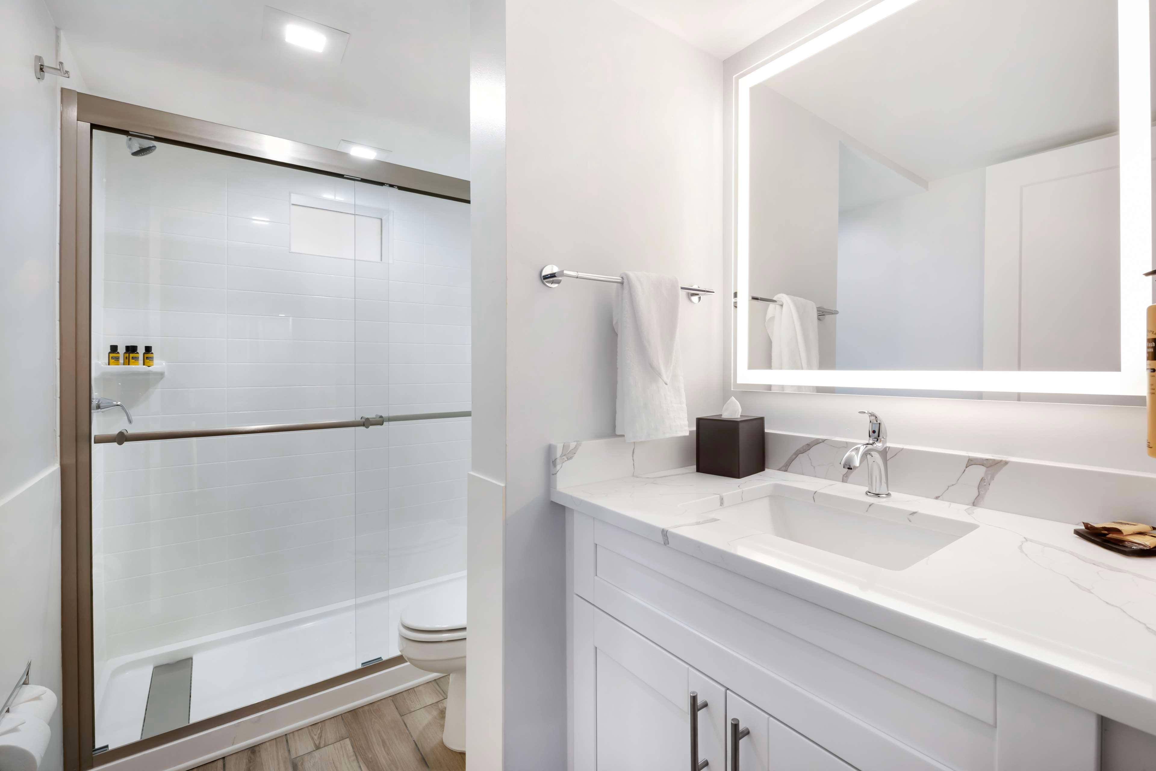 Quadruple Two King Beds