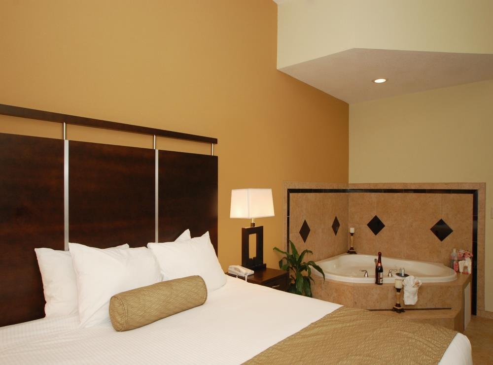 Suite King Bed Non Smoking