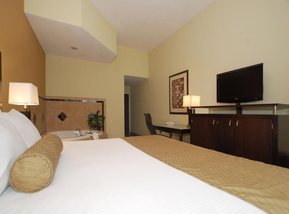 Suite King Bed Non Smoking