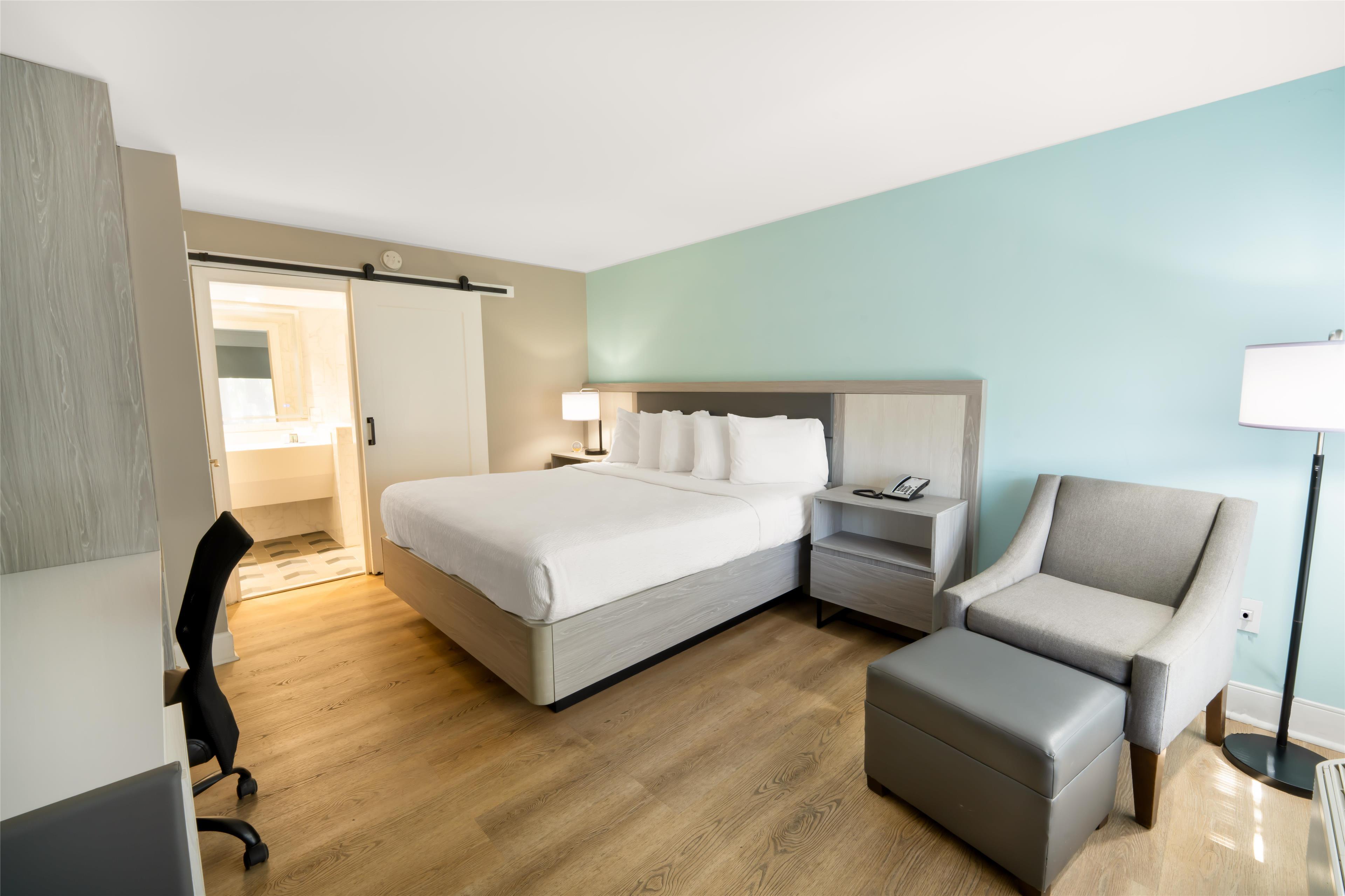 Room King Bed Non Smoking