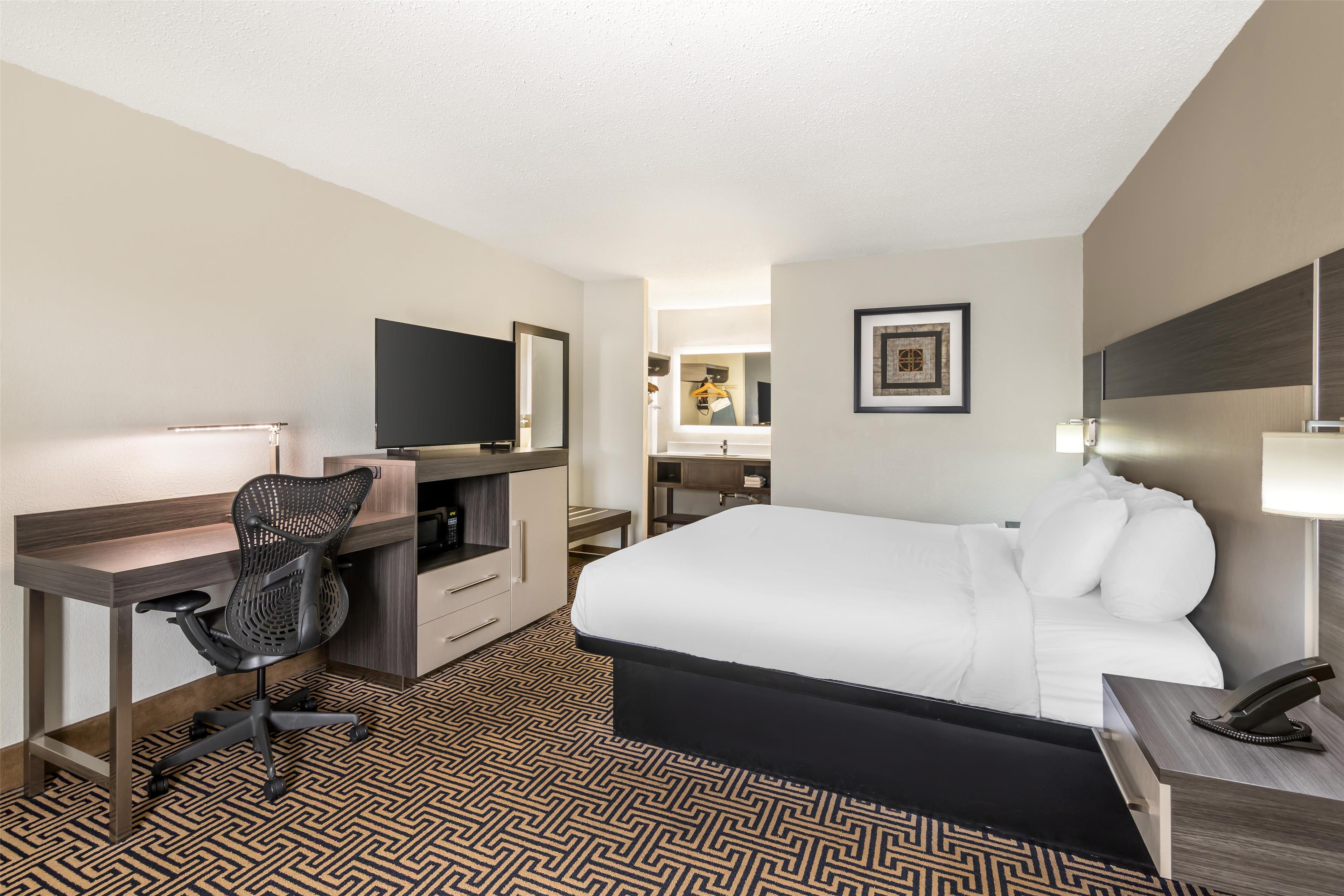 Room King Bed Non Smoking