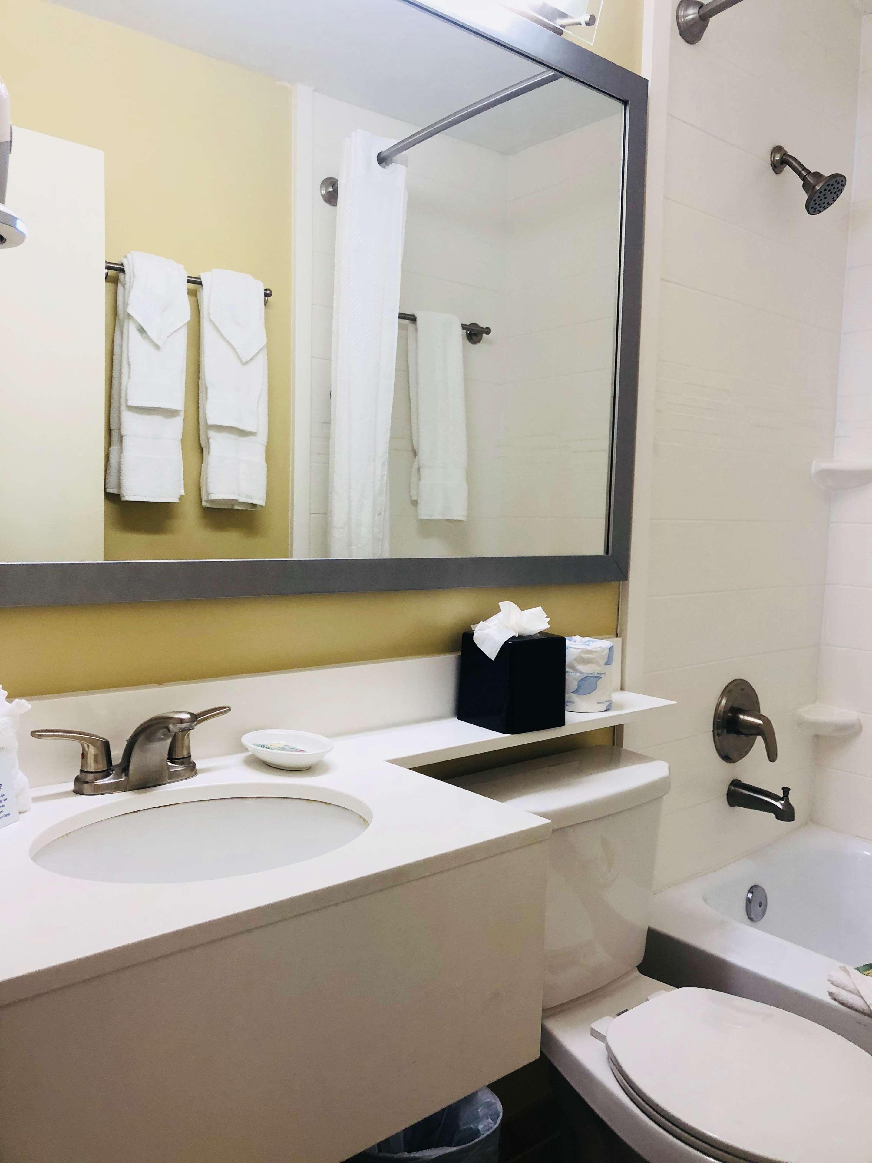 Studio Two Queen Beds