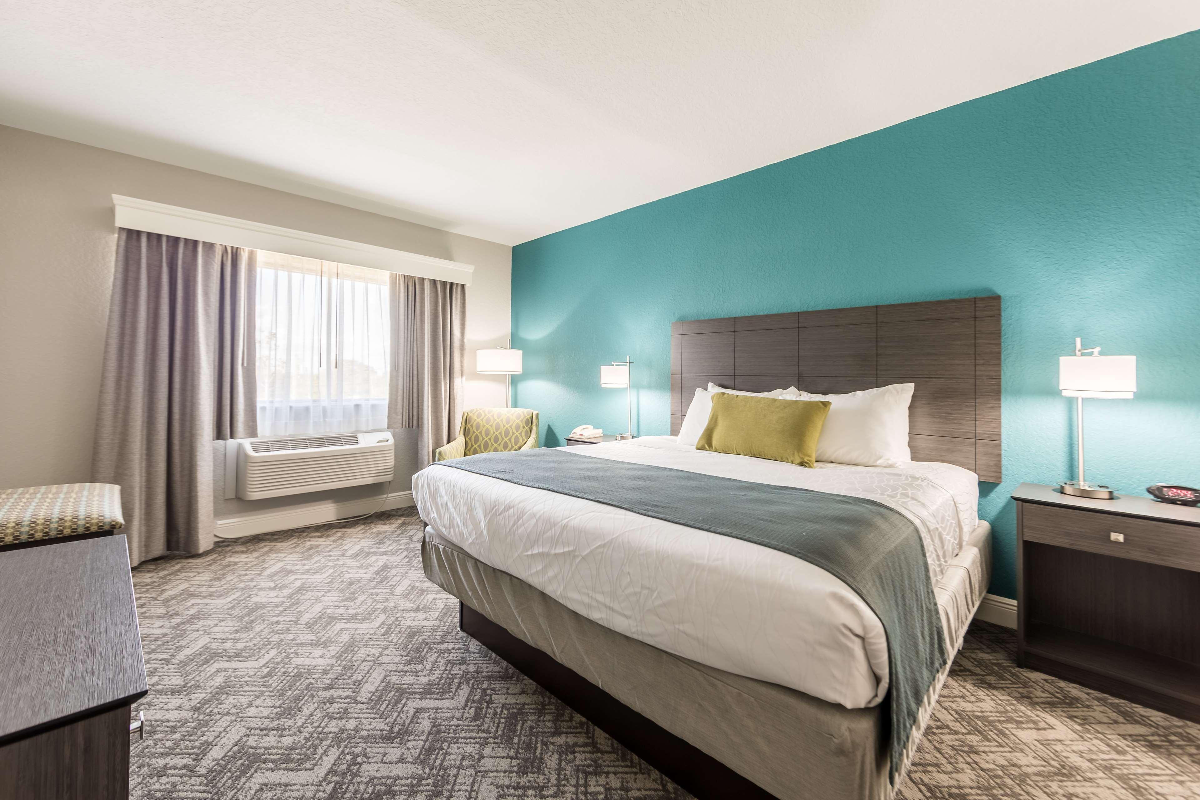 Suite King Bed Non Smoking