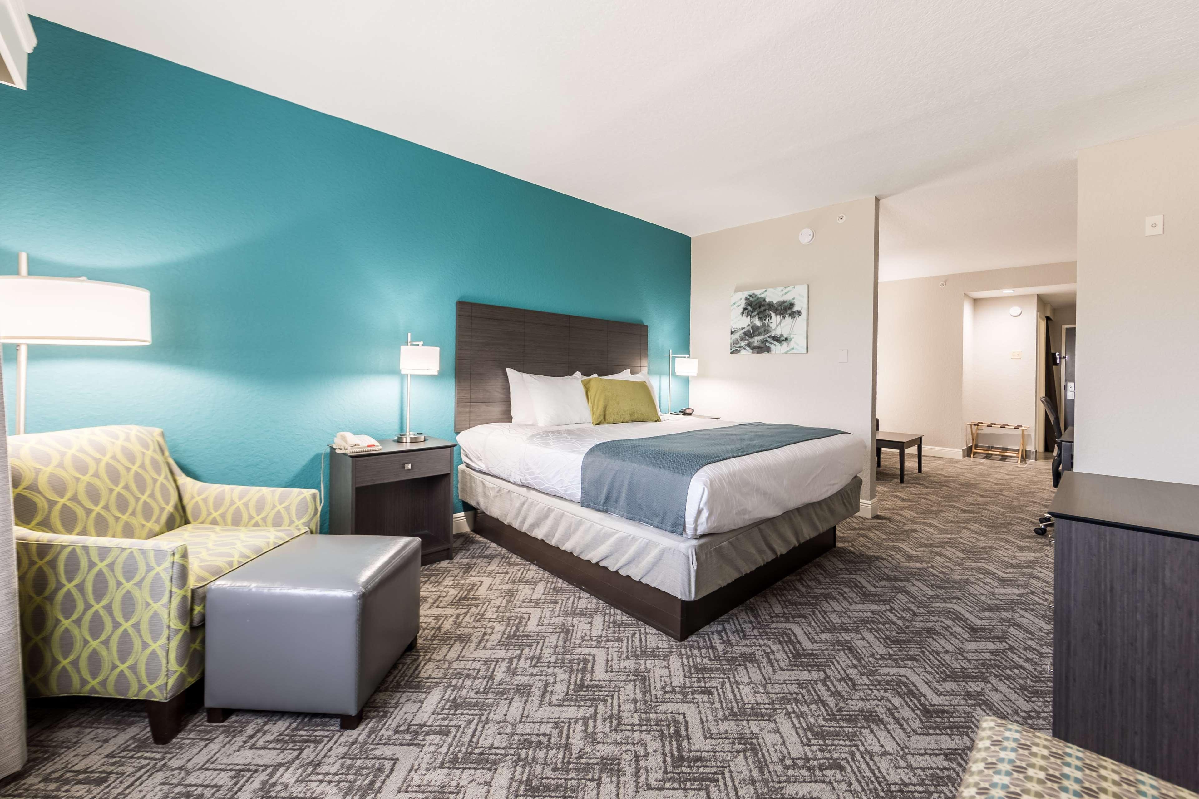 Suite King Bed Non Smoking