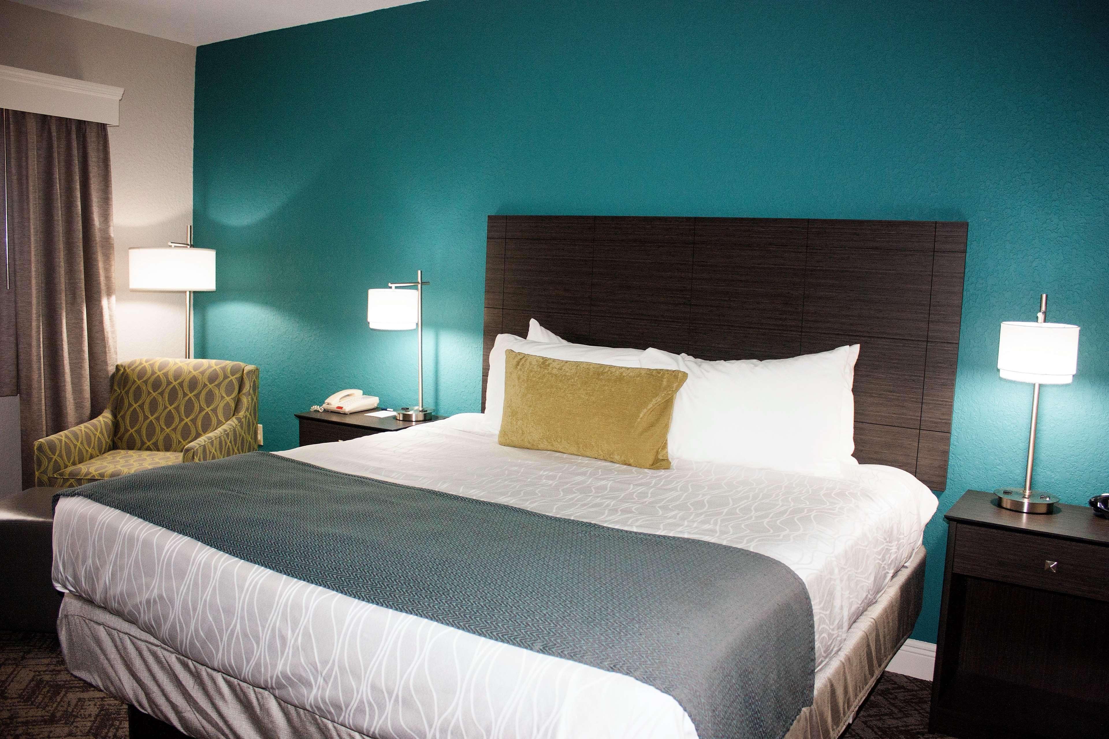 Room King Bed Non Smoking