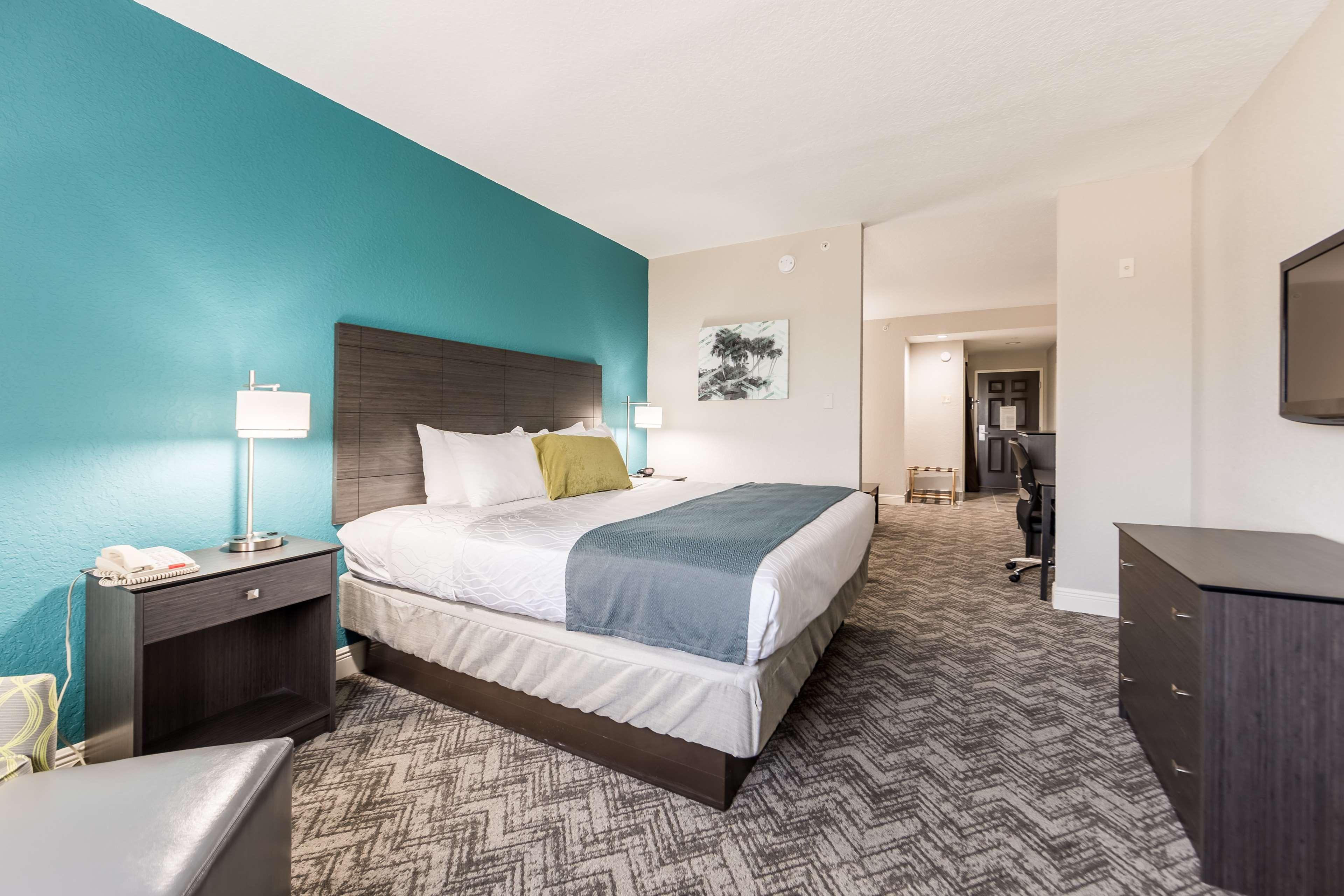 Suite King Bed Non Smoking