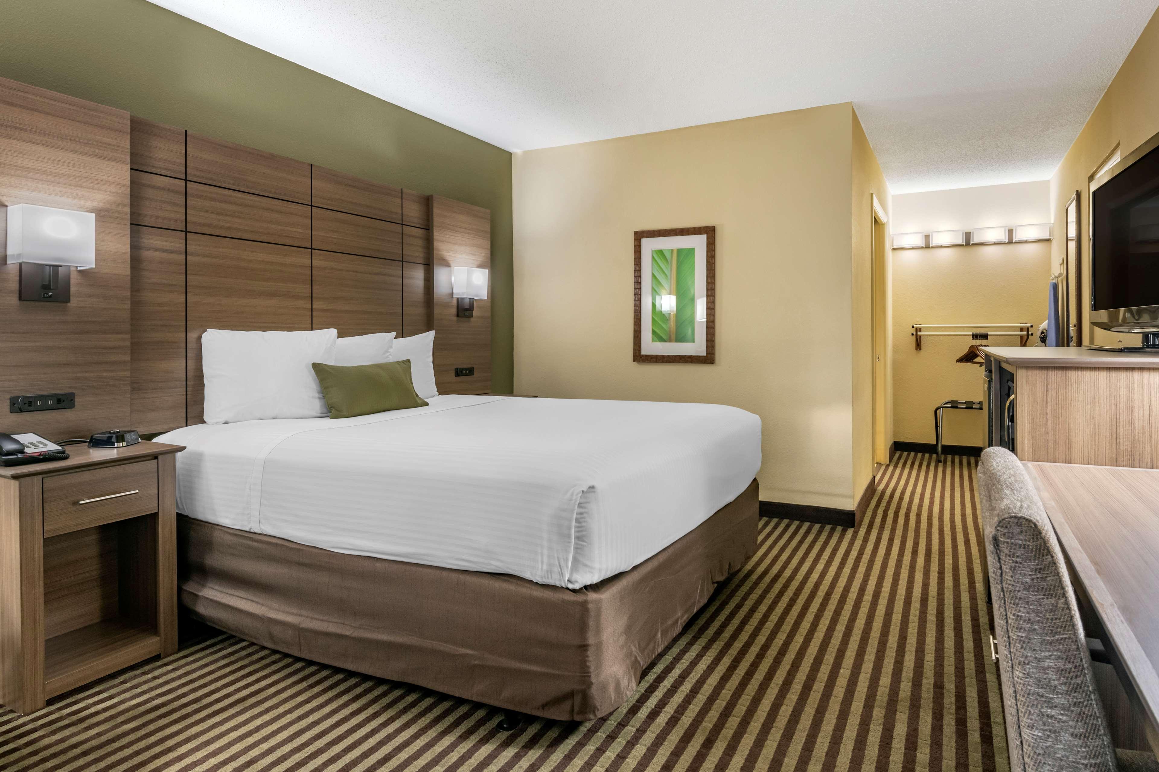 Room Accessible-queen Size Bed