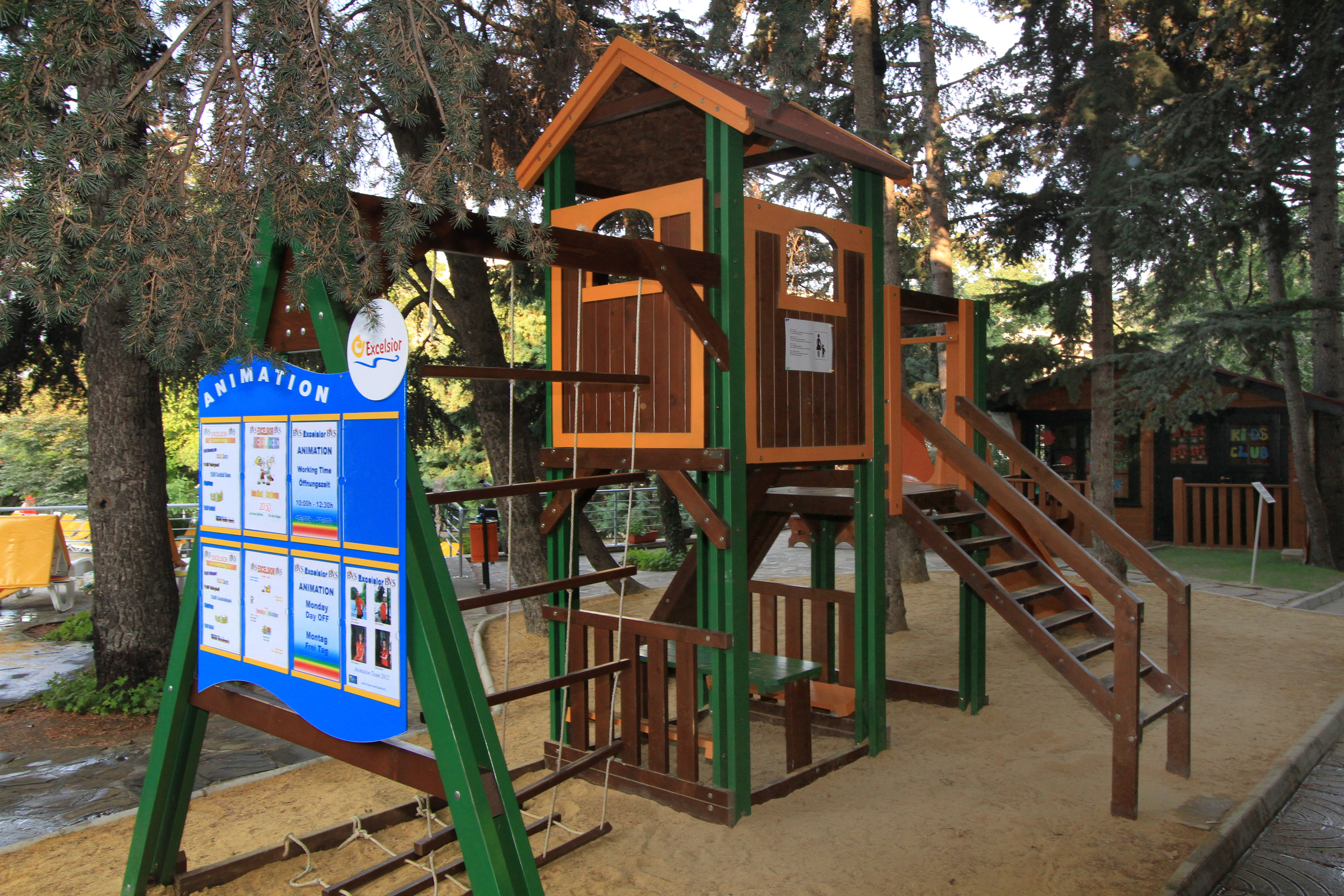 Sports and Entertainment