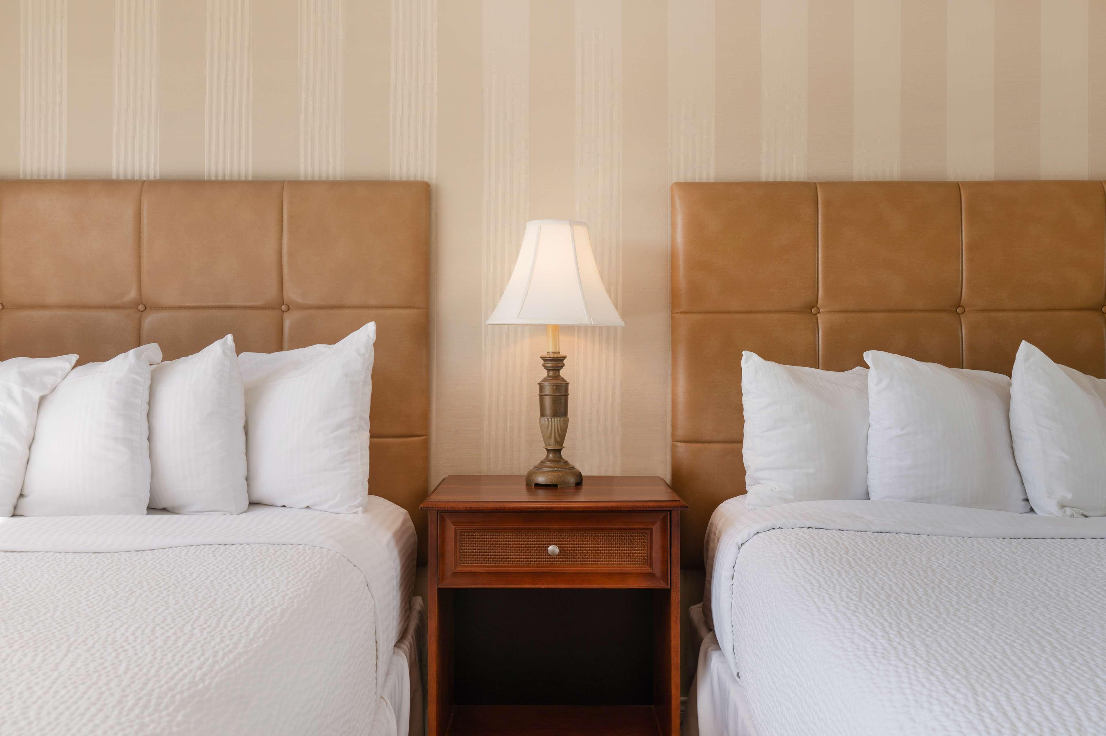 Double Two Queen Beds