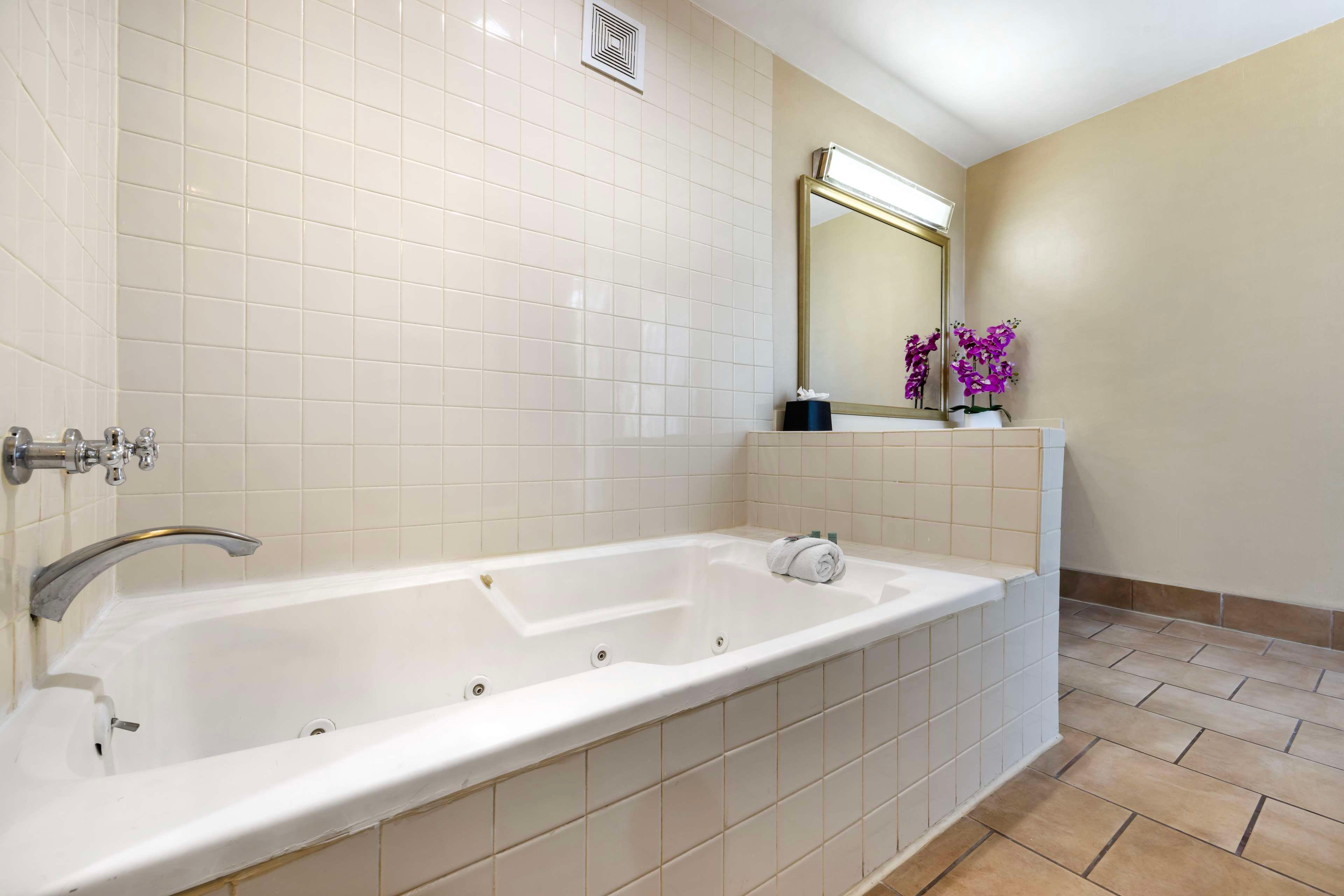 Suite Queen Size Bed