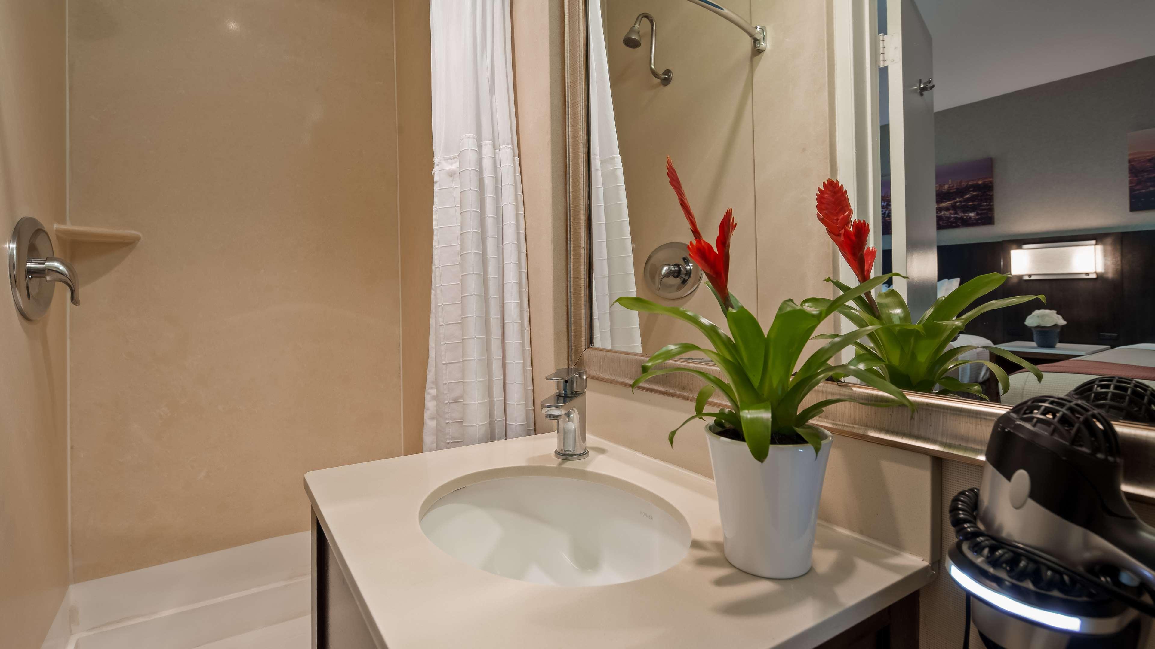 Suite Two Queen Beds