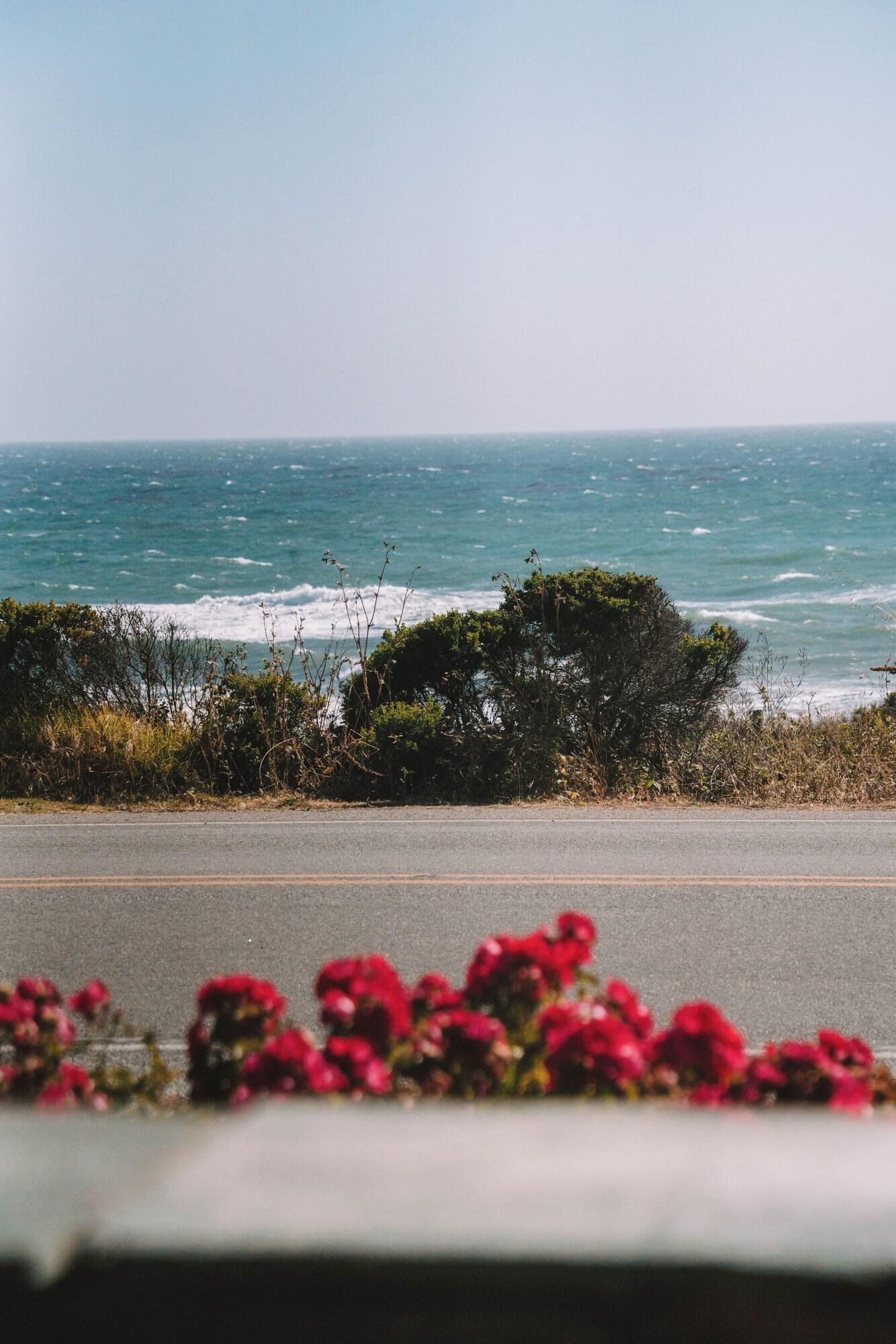 Double Superior Ocean View