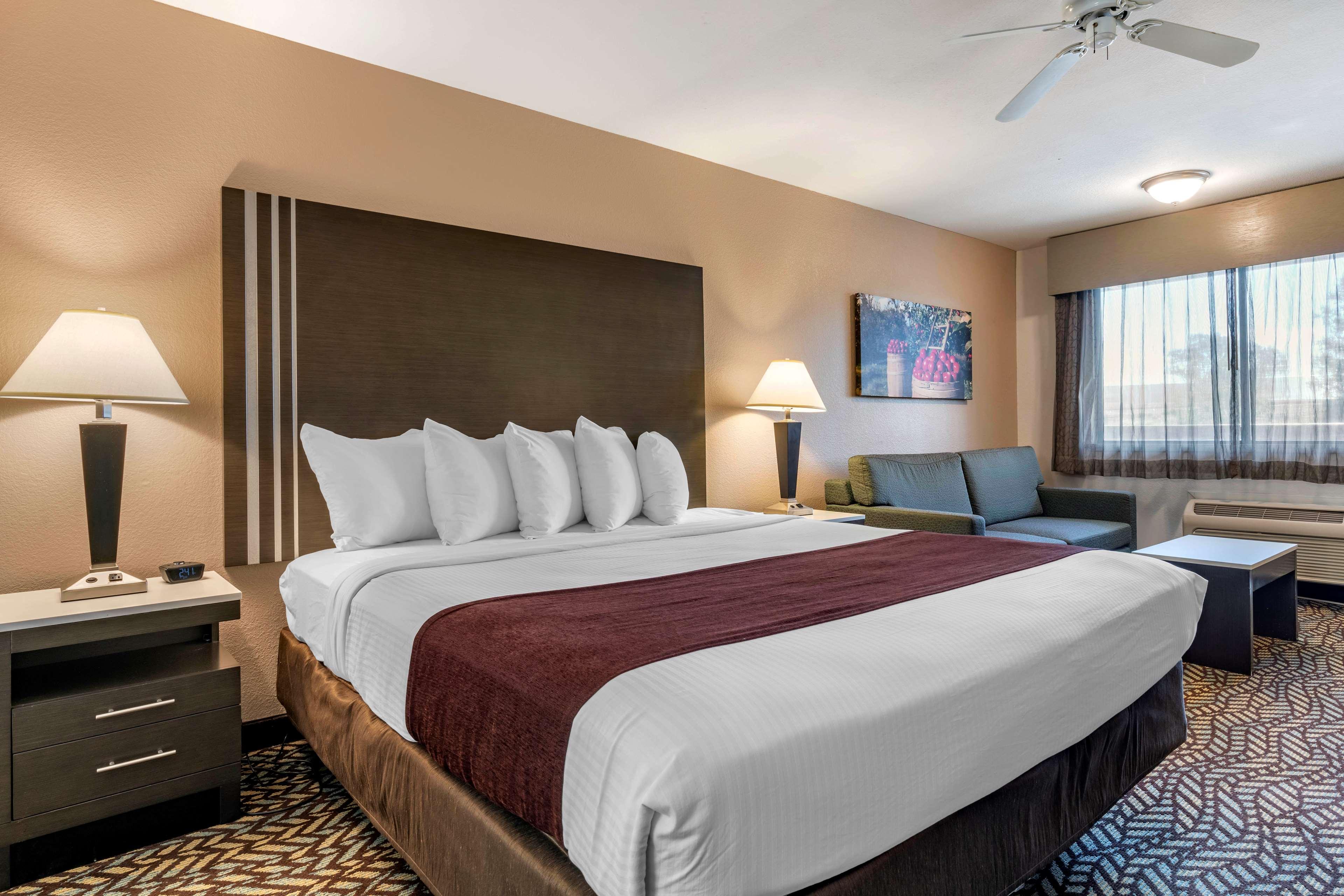 Room Accessible King Size Bed