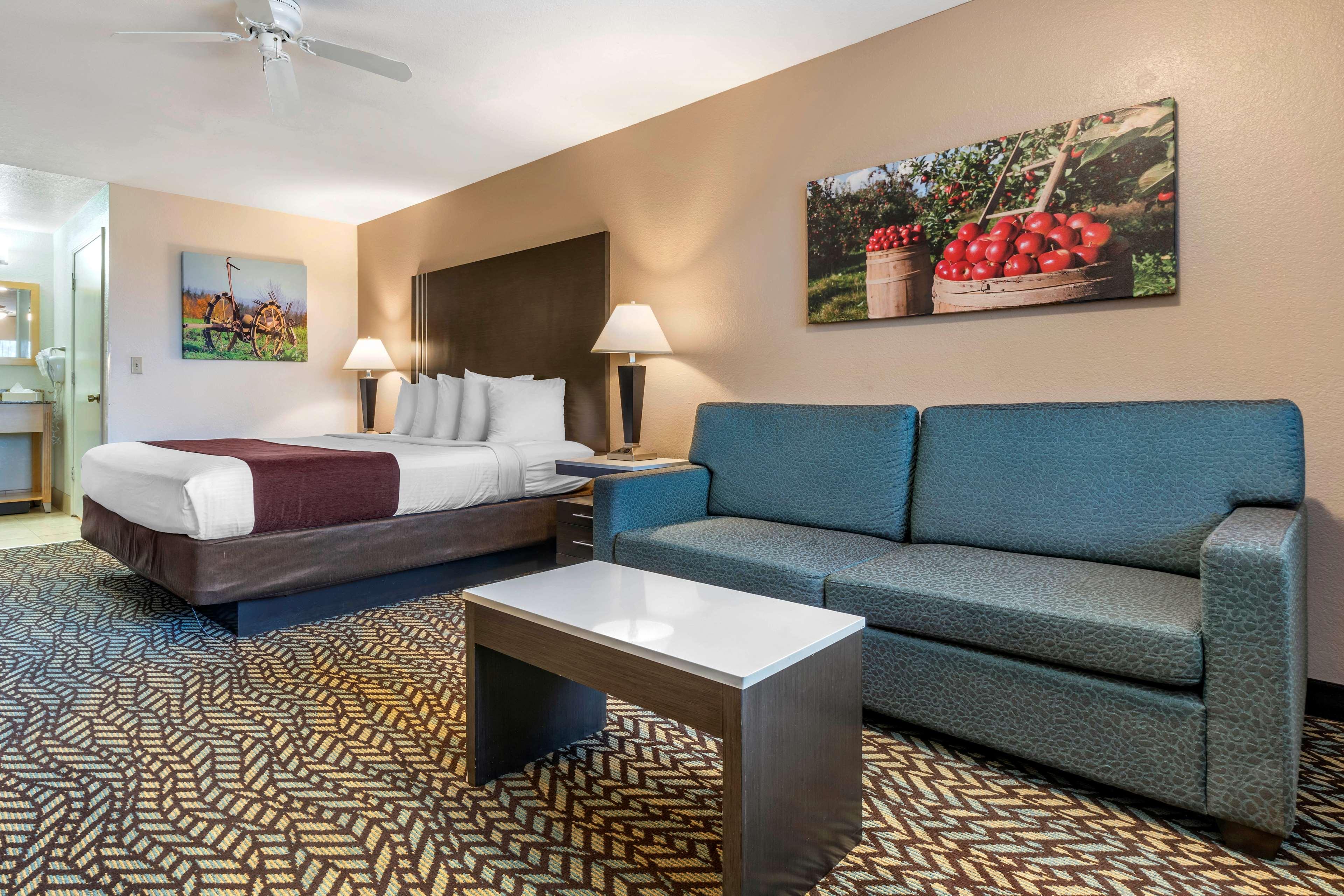 Room Accessible King Size Bed