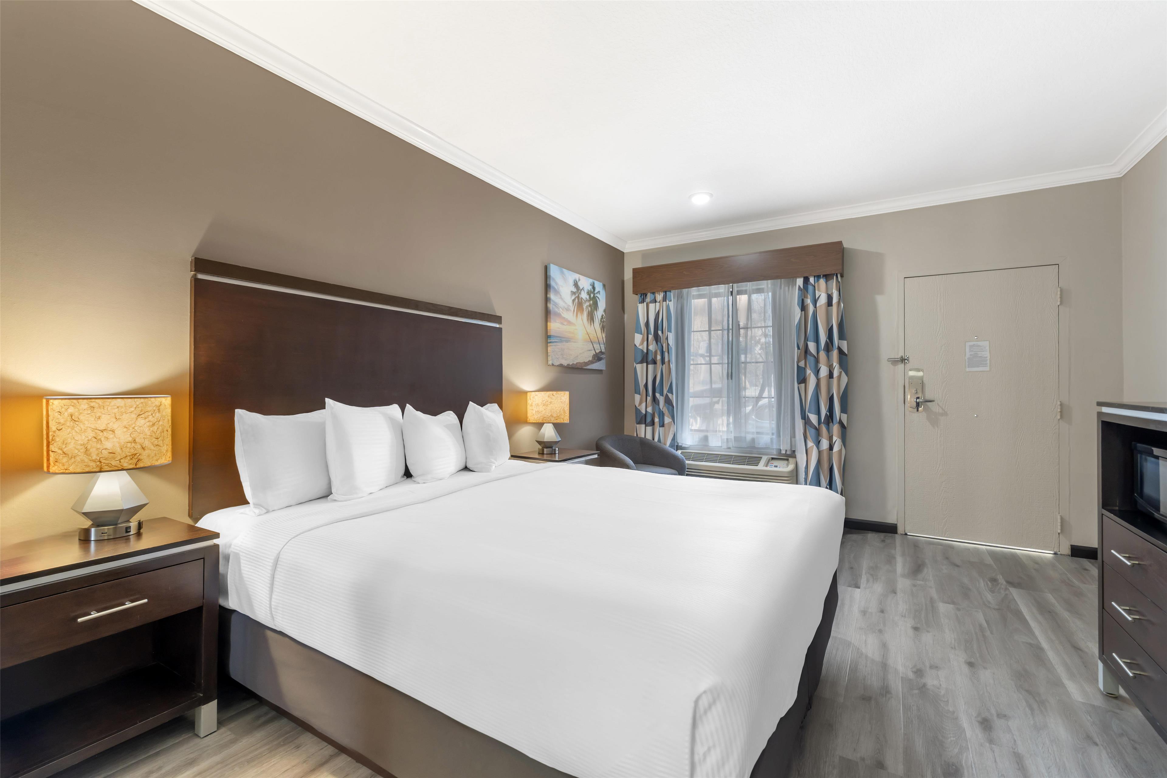 Room King Bed Non Smoking