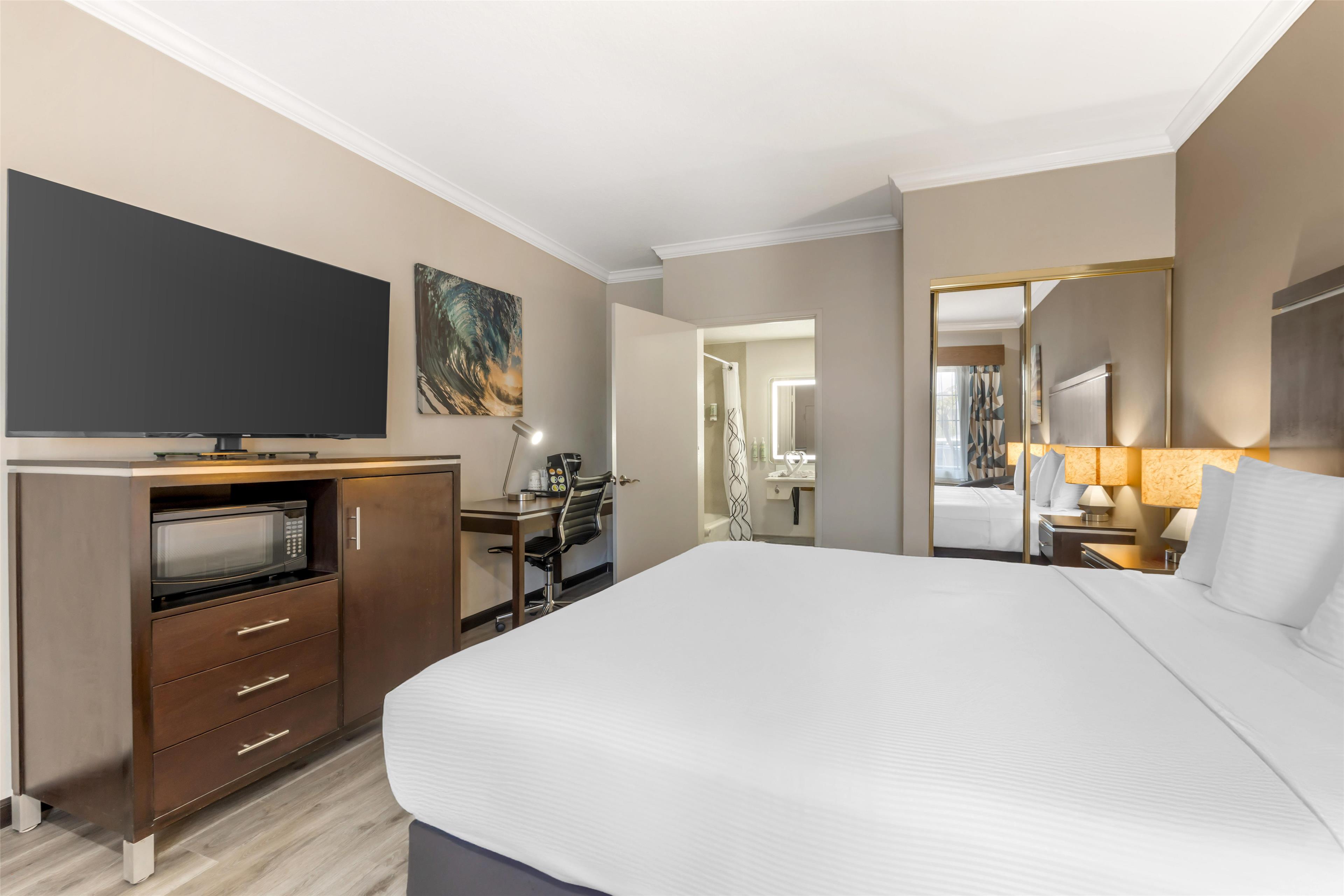 Room King Bed Non Smoking