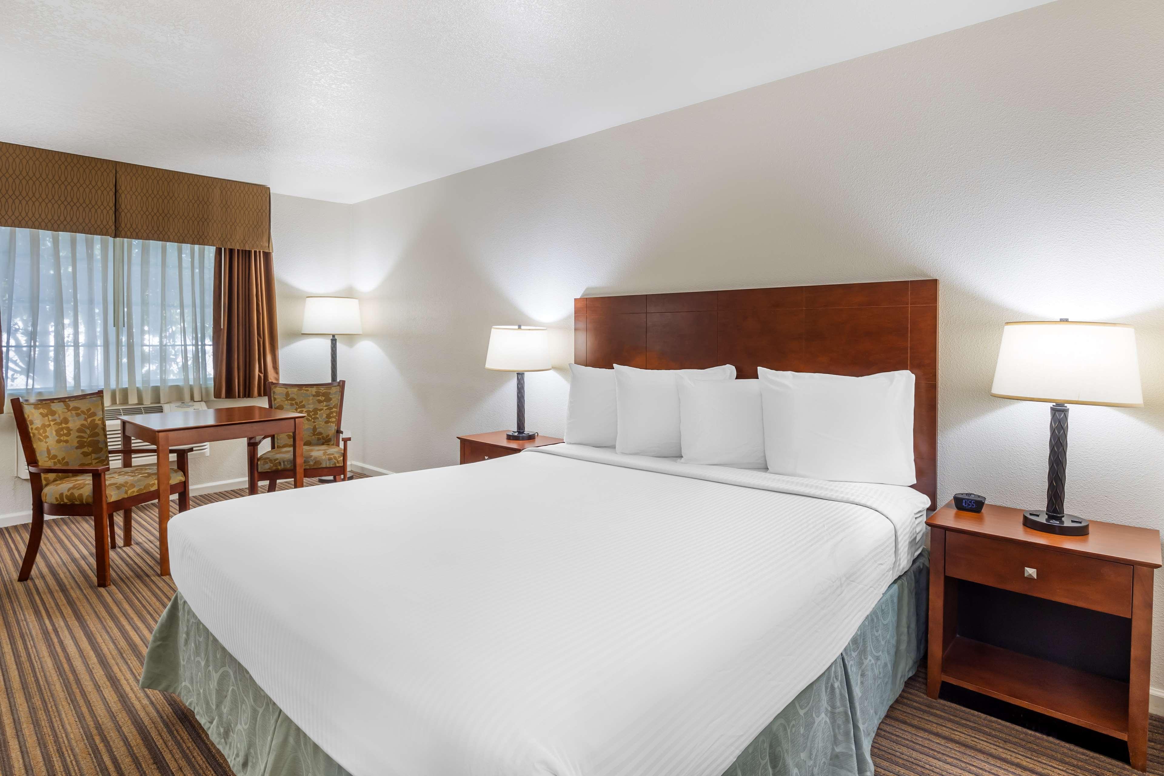 Room King Bed Non Smoking