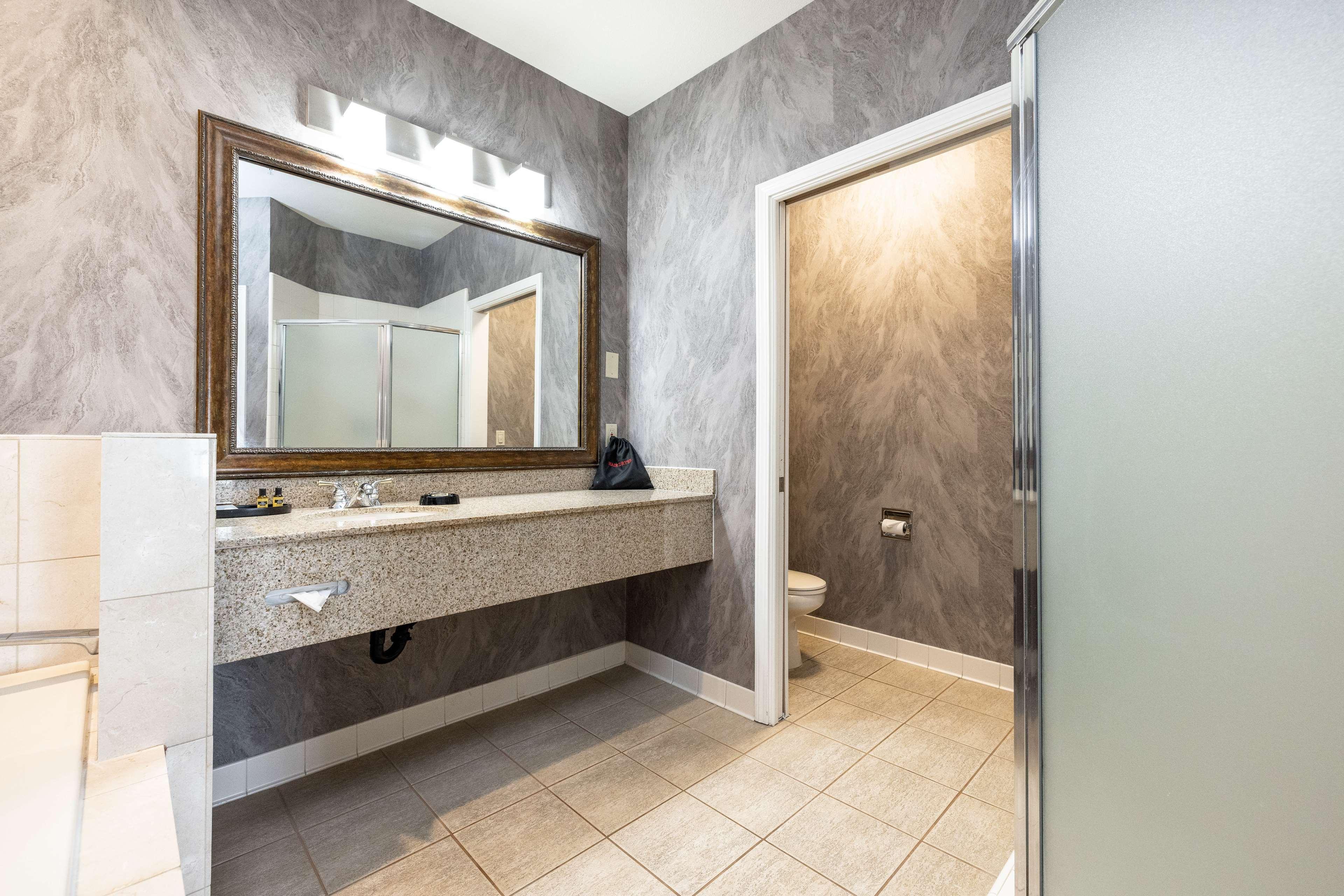 Suite King Bed Non Smoking