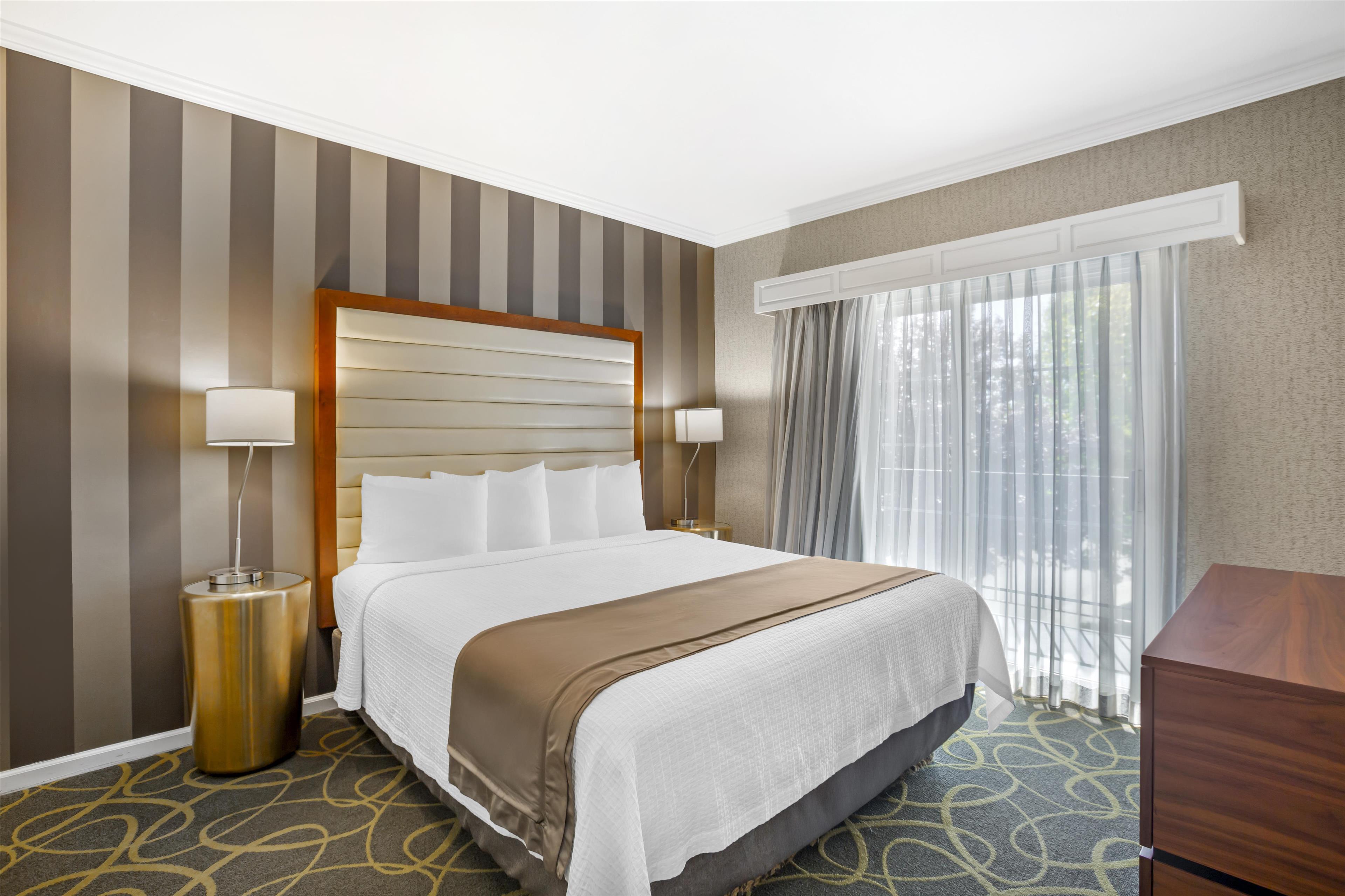 Suite King Bed Non Smoking