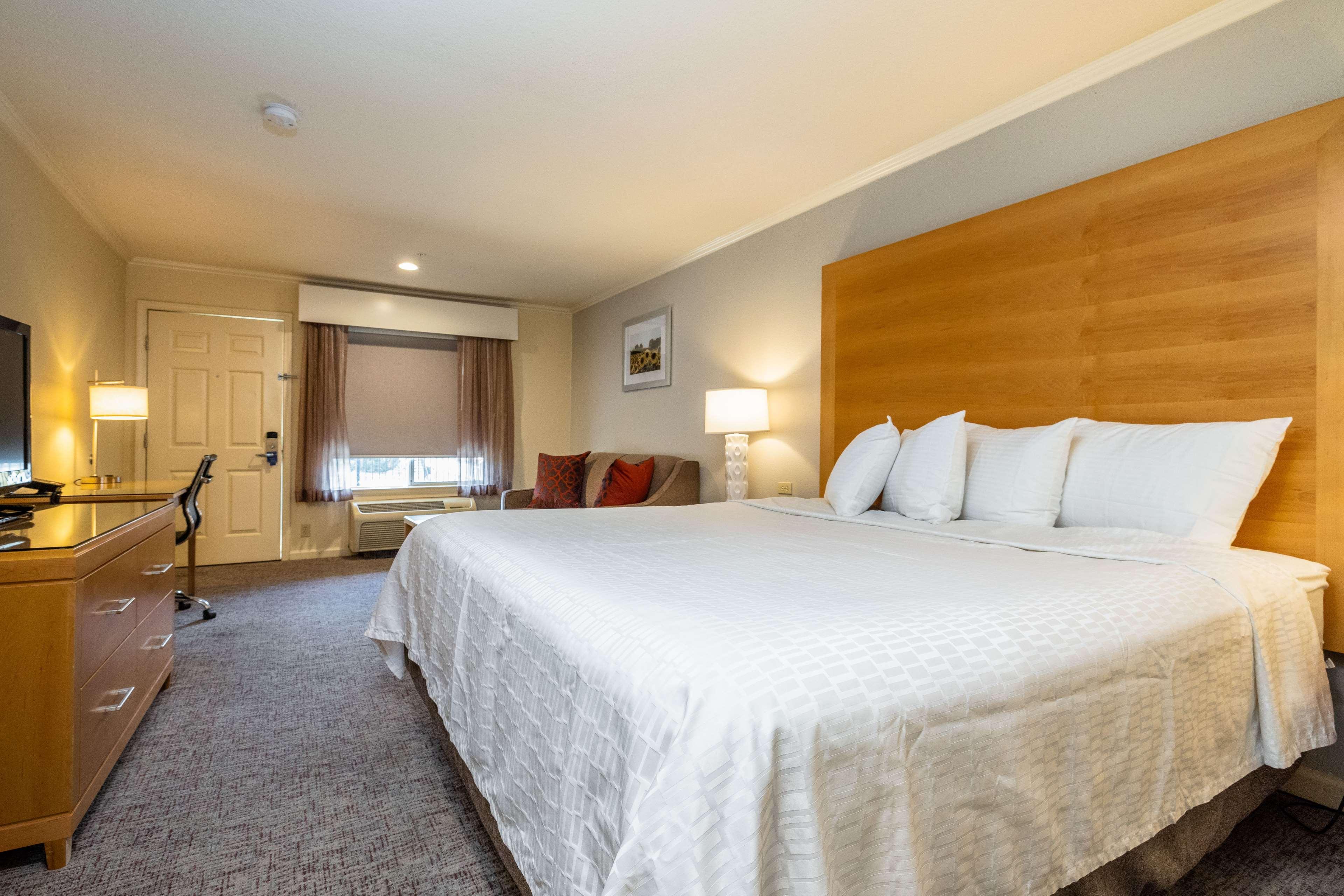 Room Accessible King Size Bed