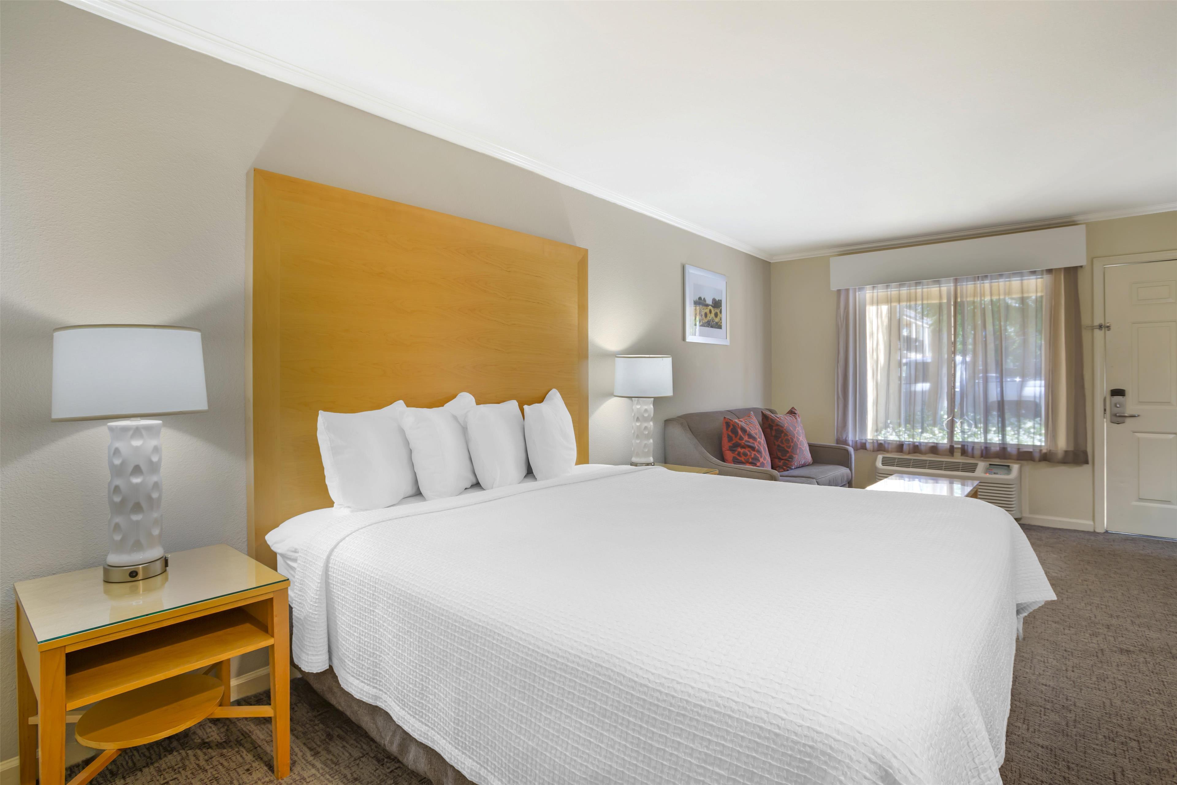 Room Accessible King Size Bed