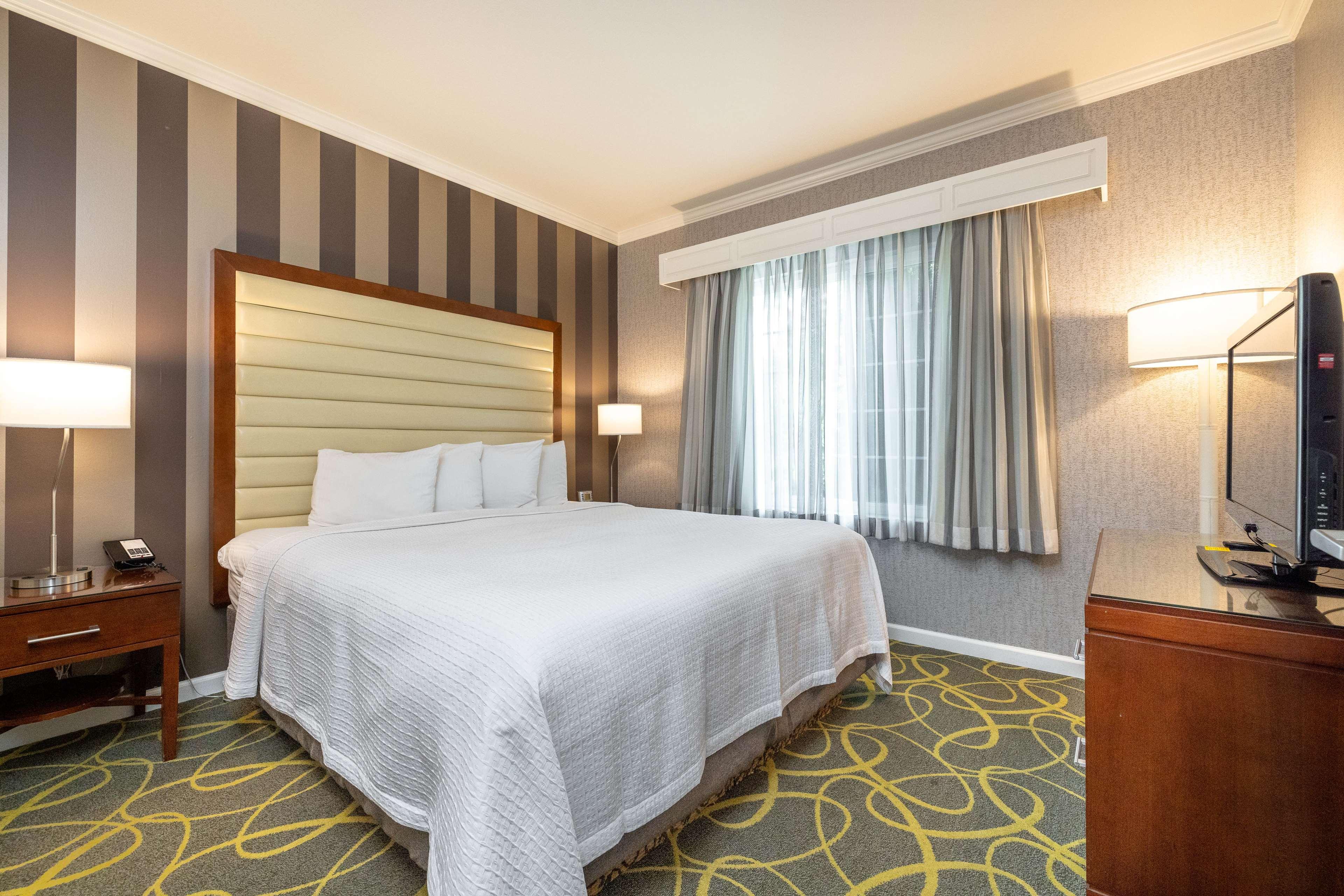 Room Accessible King Size Bed