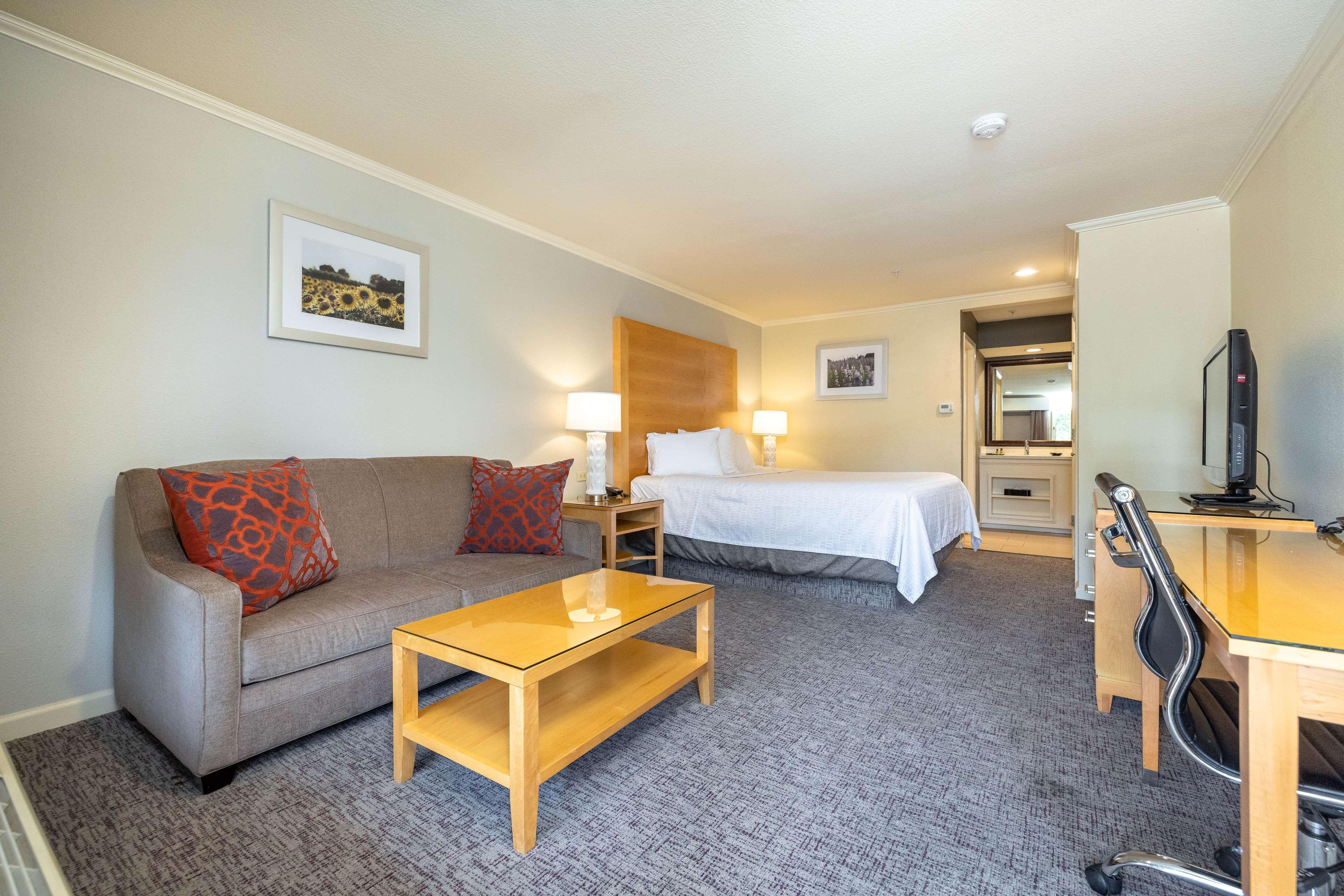 Suite King Bed Non Smoking