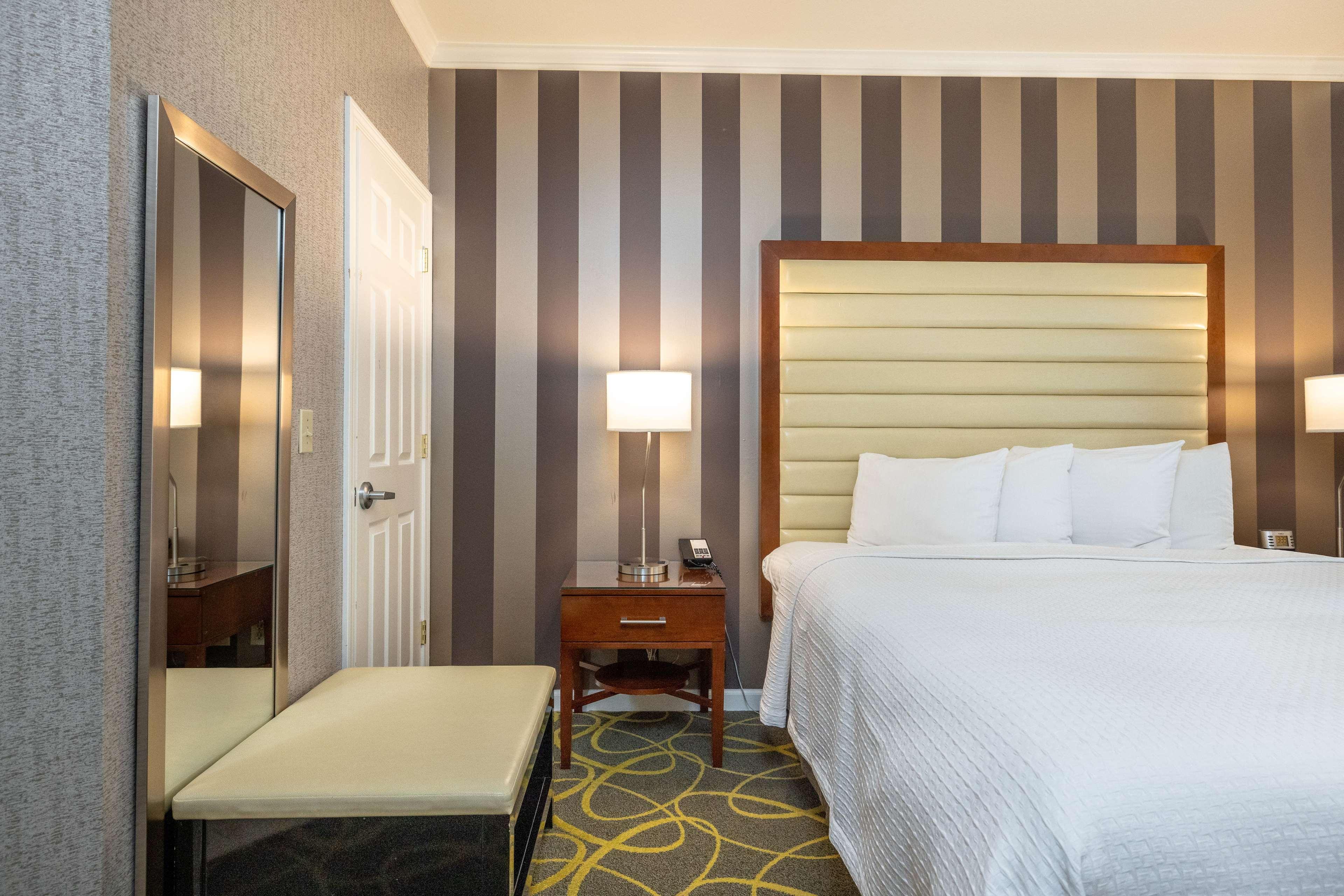 Suite King Bed Non Smoking