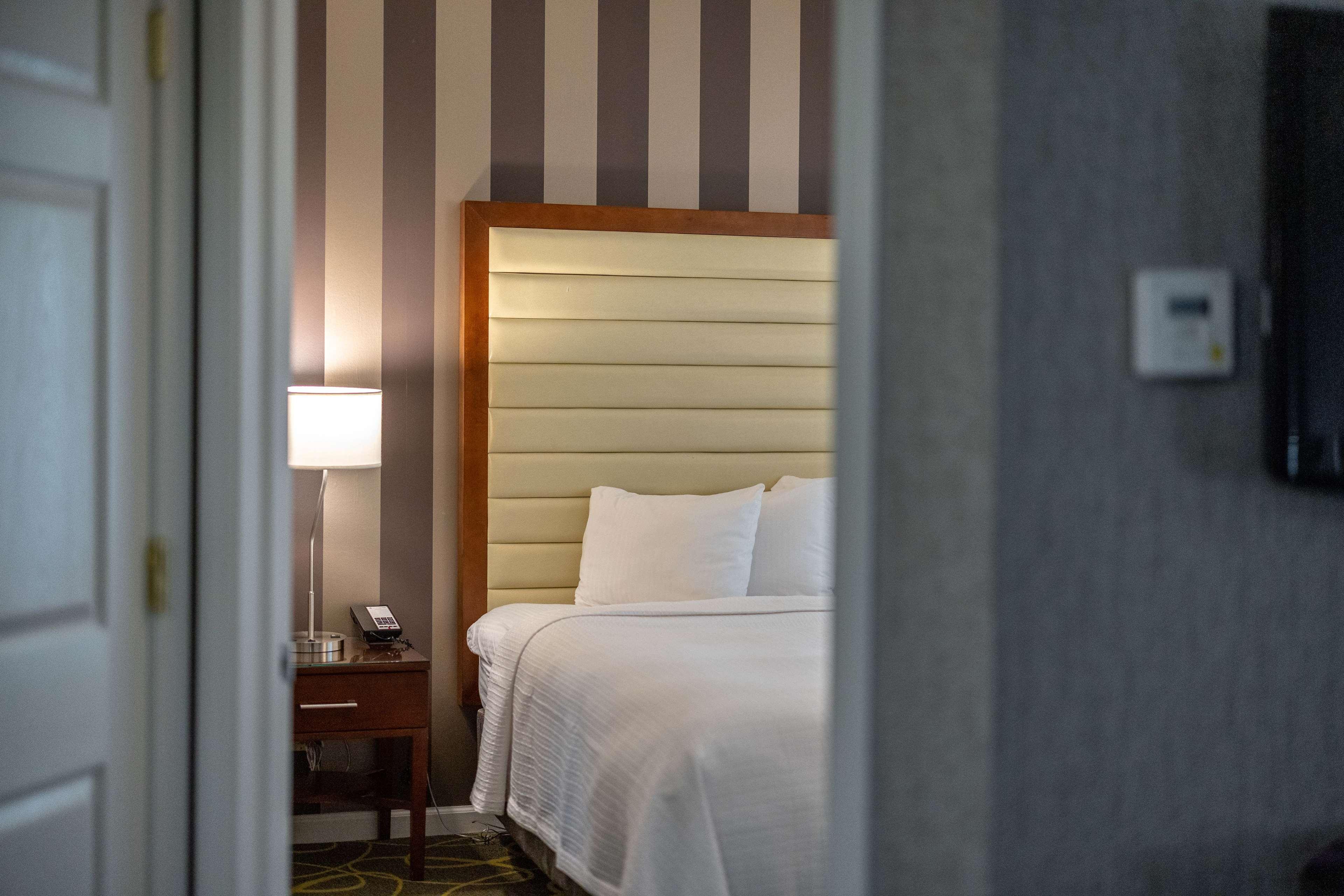 Suite King Bed Non Smoking