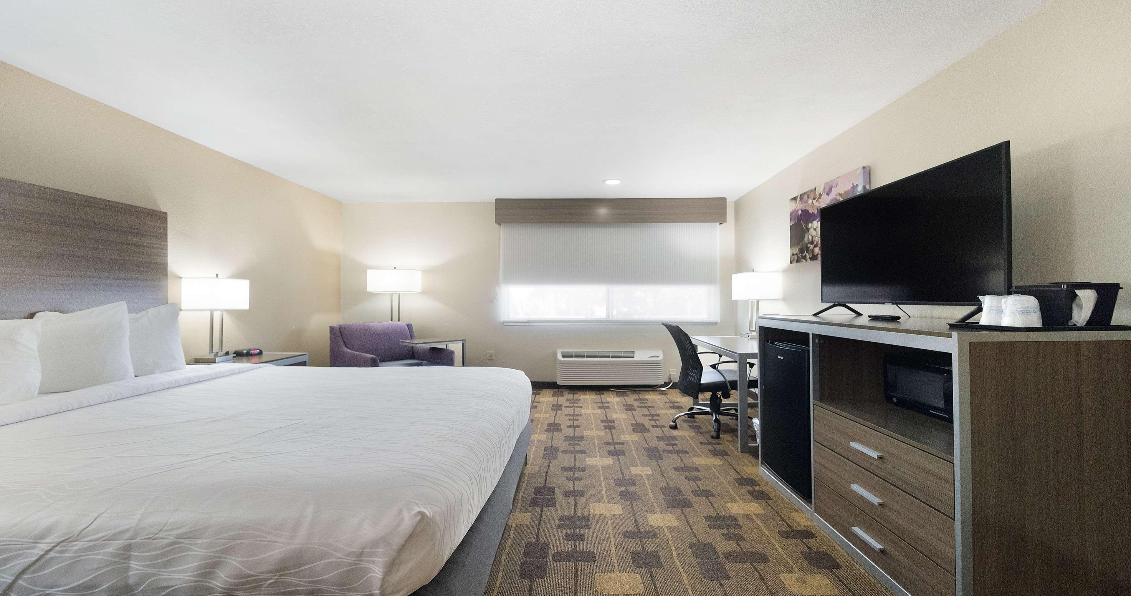 Room Queen Bed Non Smoking