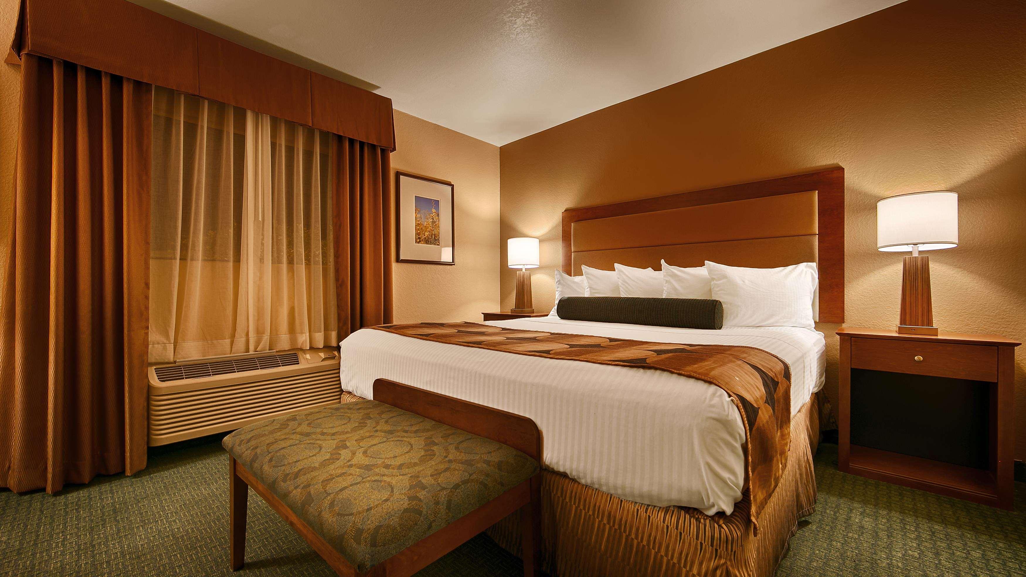 Suite King Bed Non Smoking