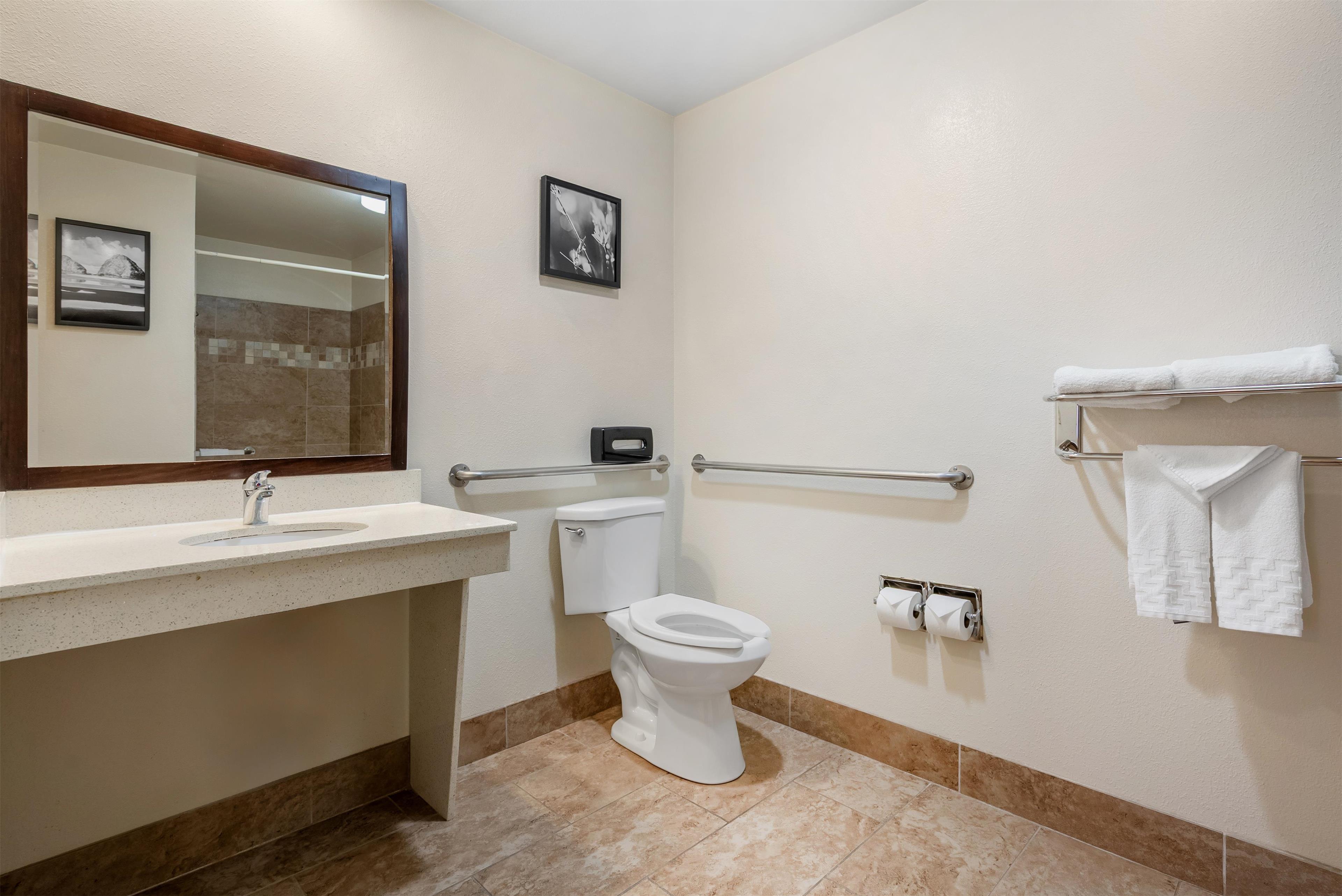 Room Accessible King Size Bed