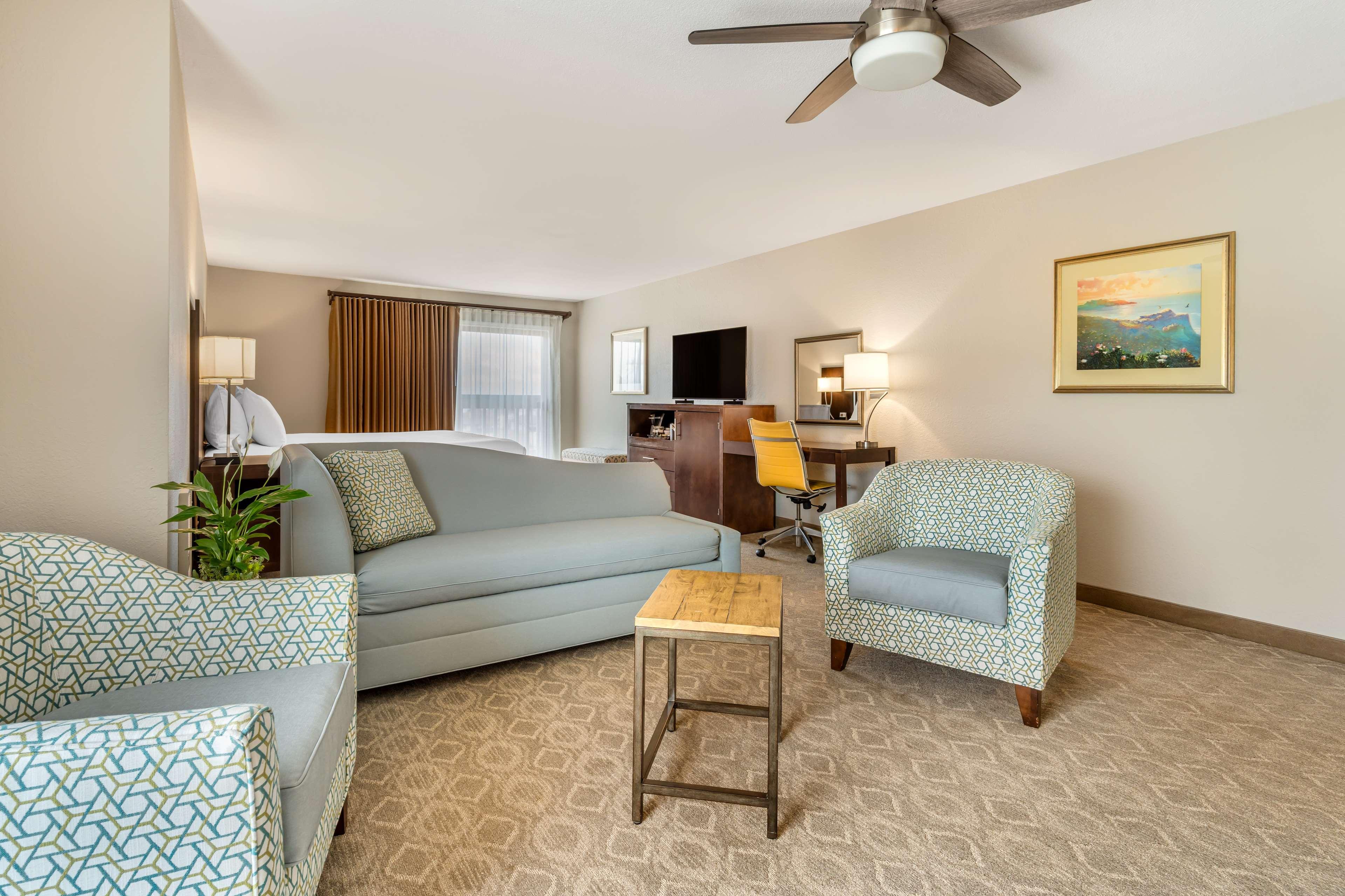 Room King Bed Non Smoking