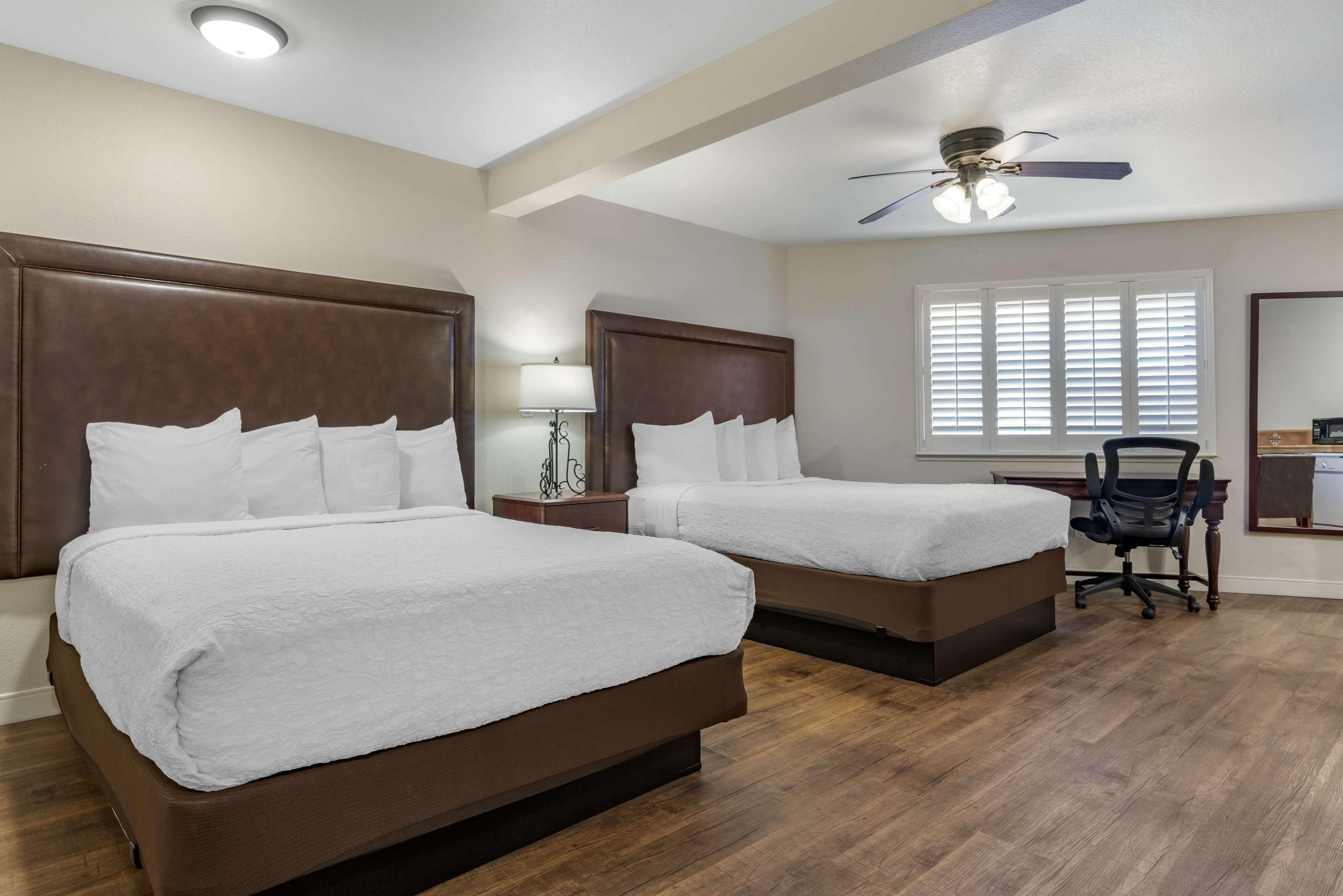 Studio Two Queen Beds