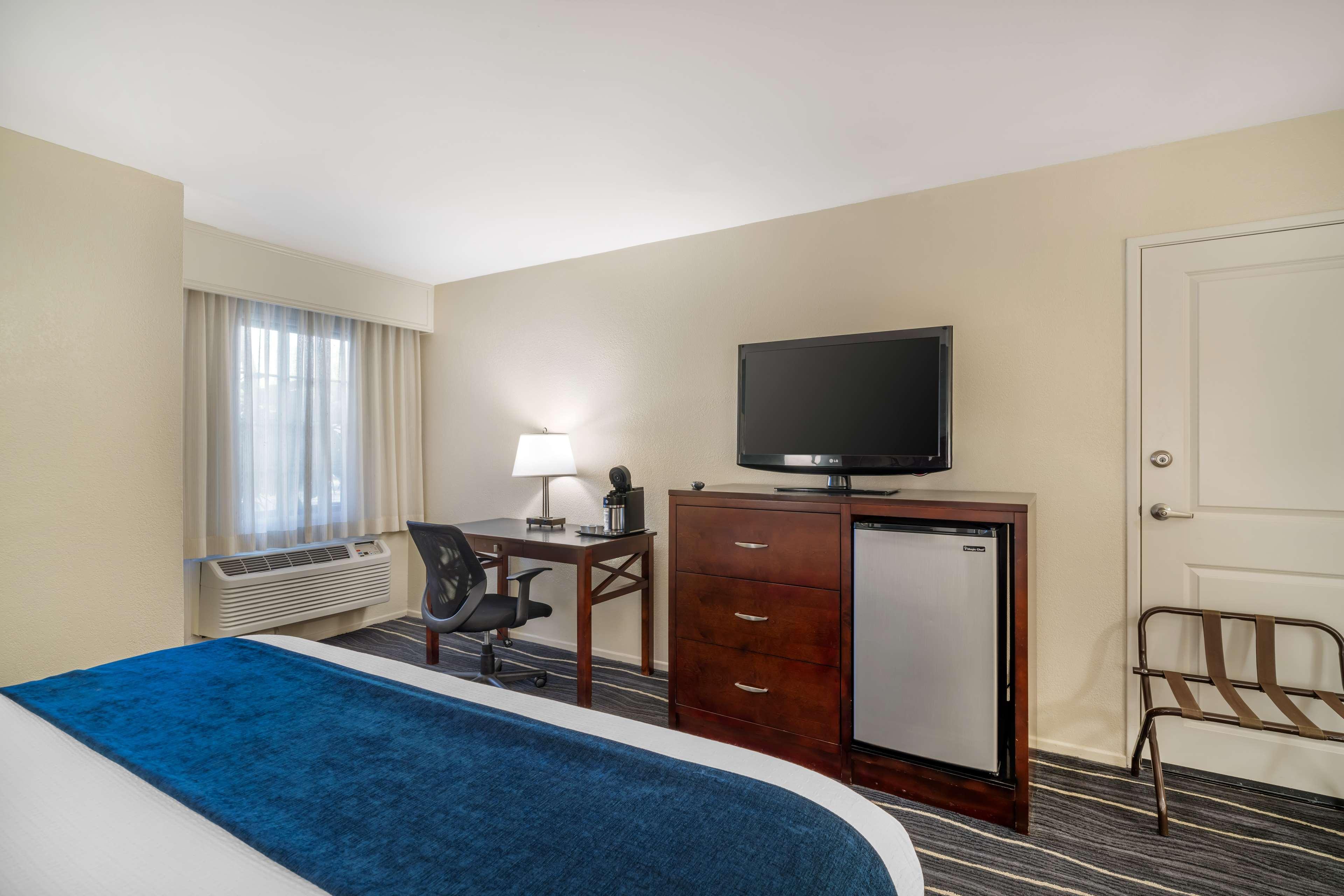 Room King Bed Non Smoking