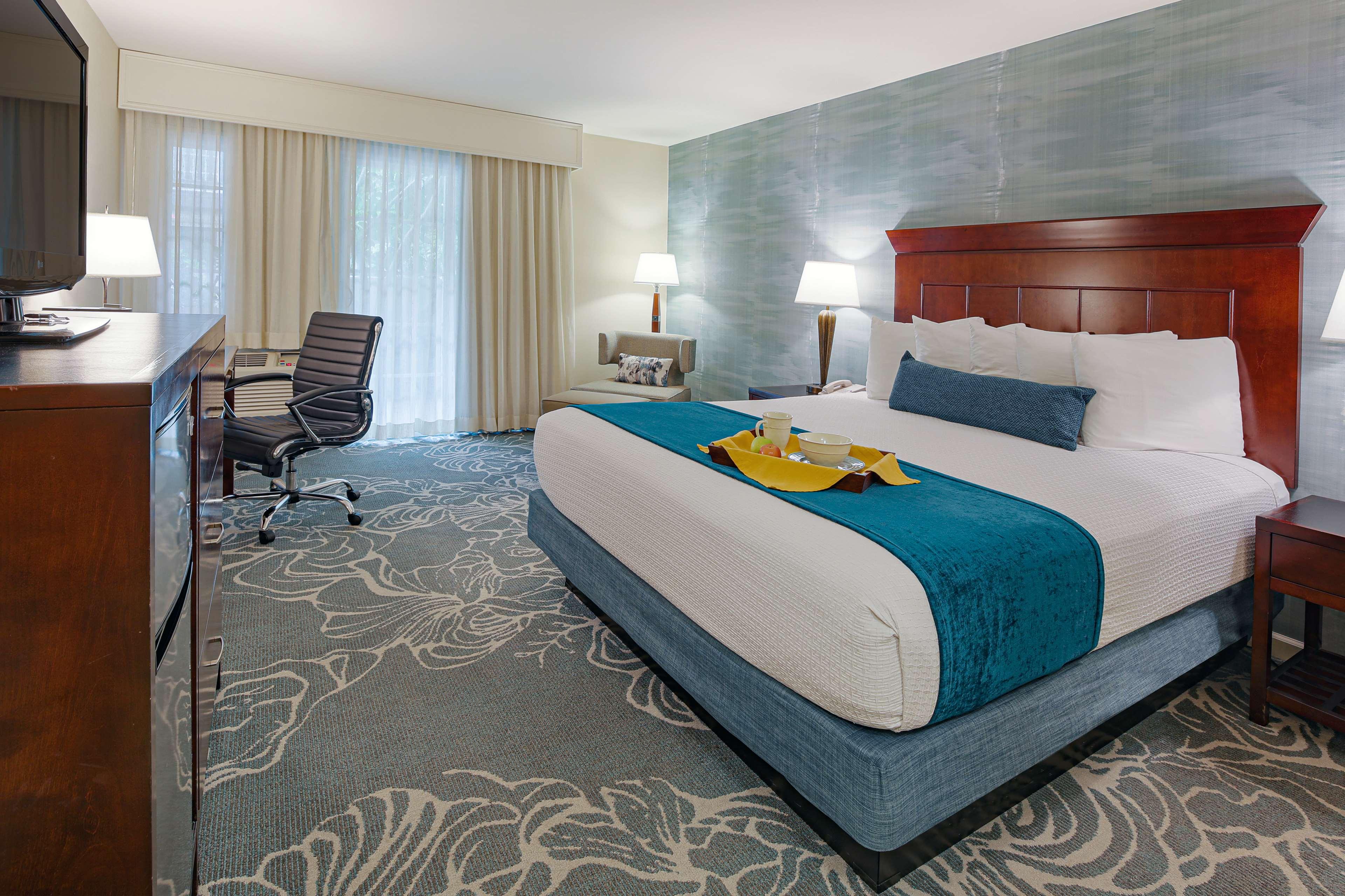 Room King Bed Non Smoking