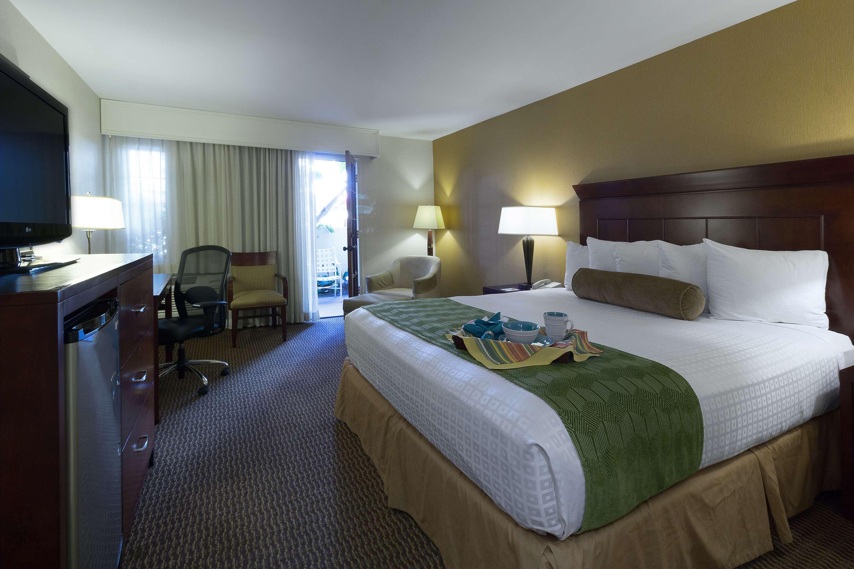 Room King Bed Non Smoking