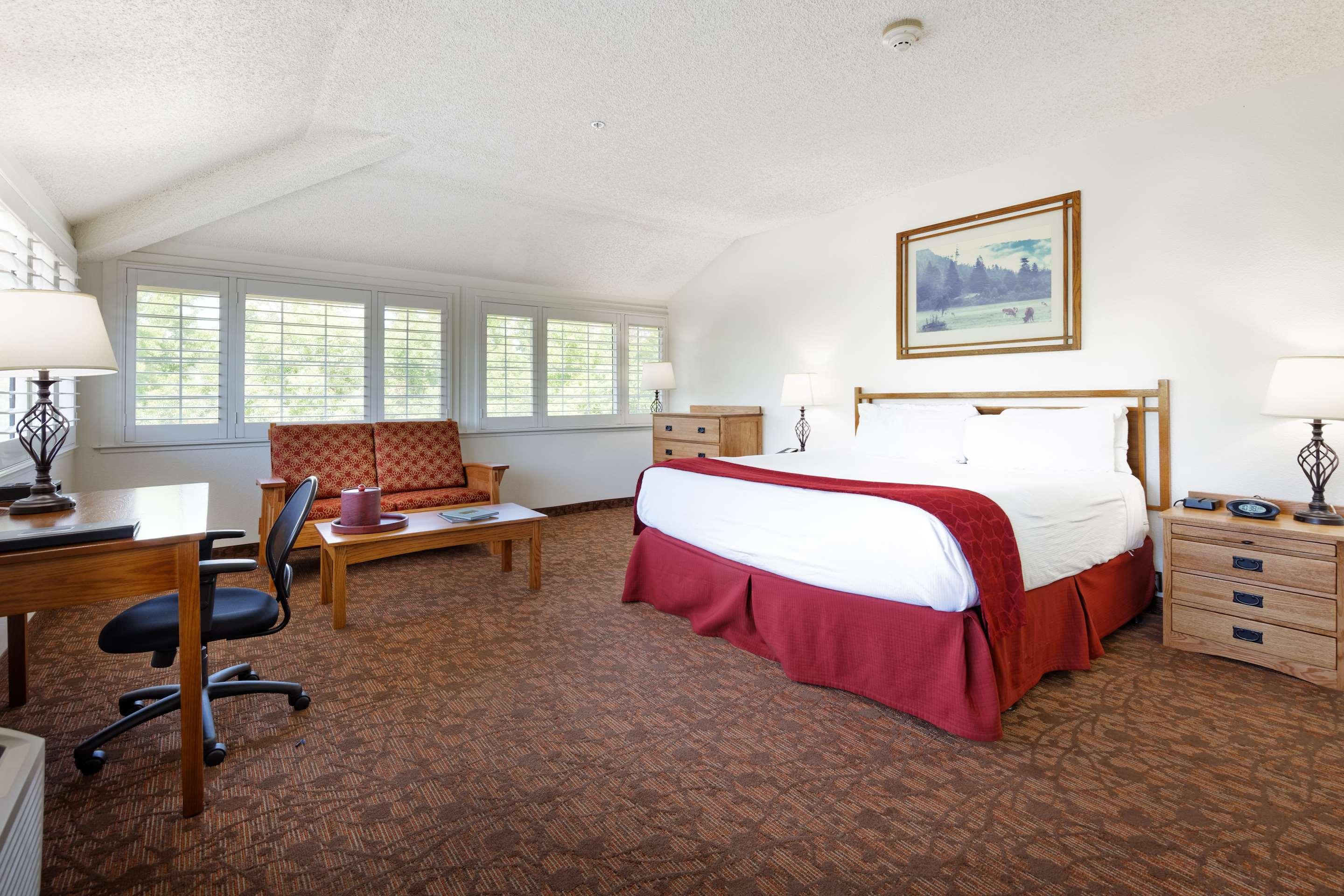 Suite Accessible King Size Bed