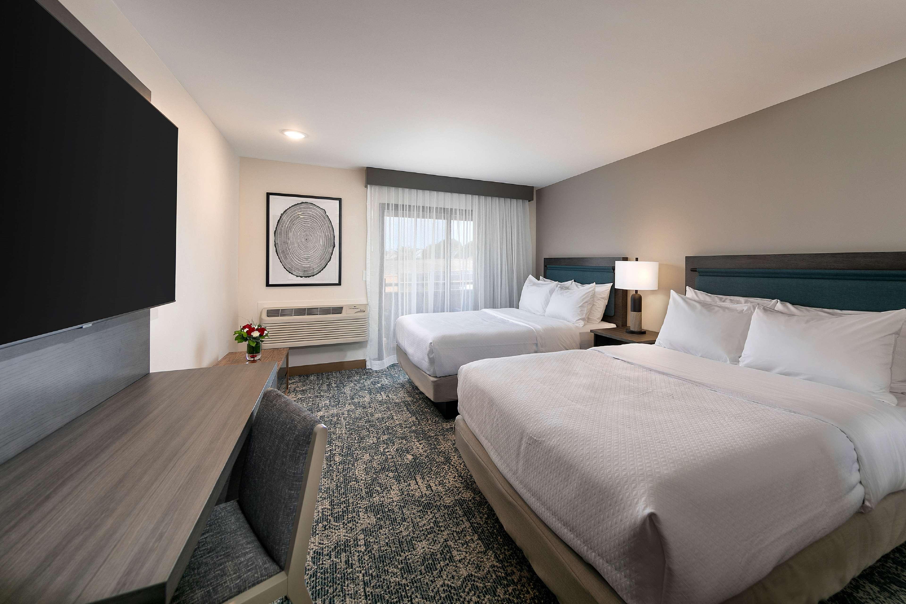 Family Room King Size Bed